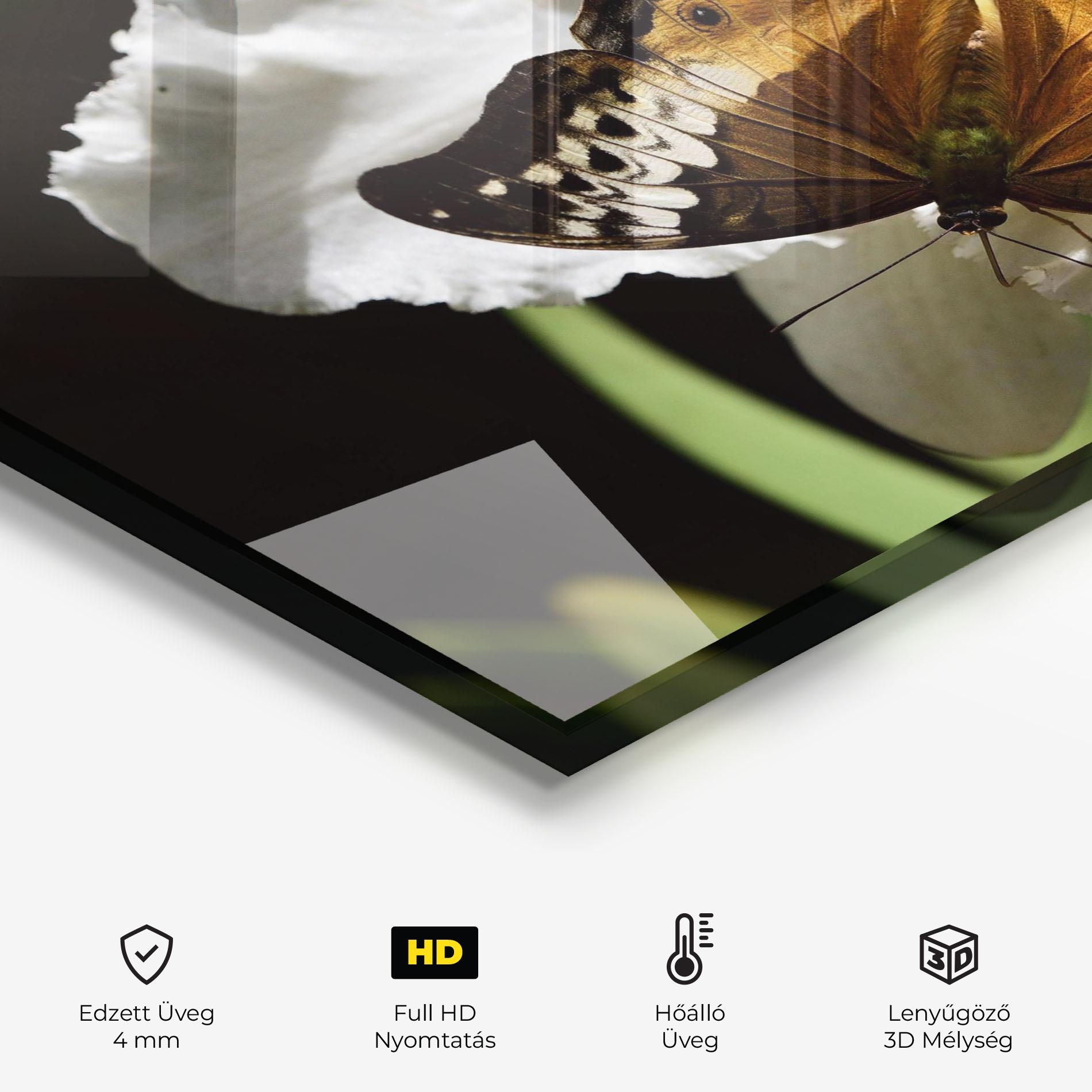 Konyhai üveg hátfal Butterfly Exotic Plant mockup 2