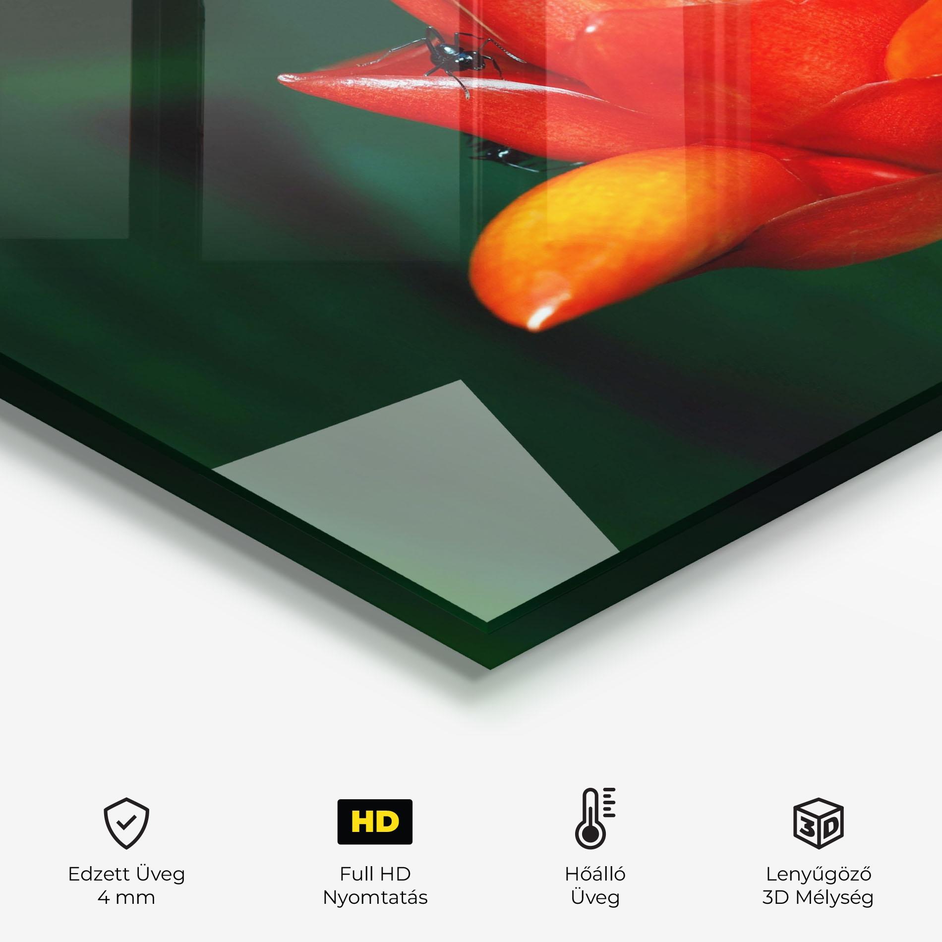 Konyhai üveg hátfal Cool Orange Exotic mockup 2