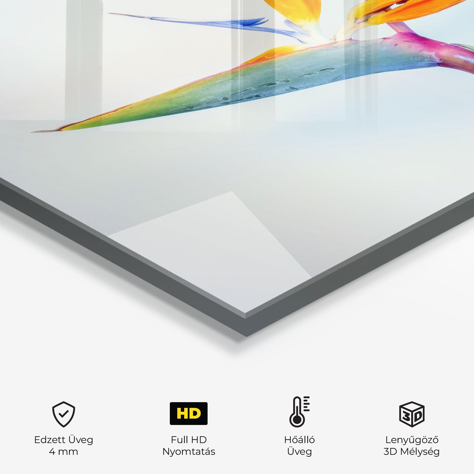 Konyhai üveg hátfal Green Orange Exotic mockup 2