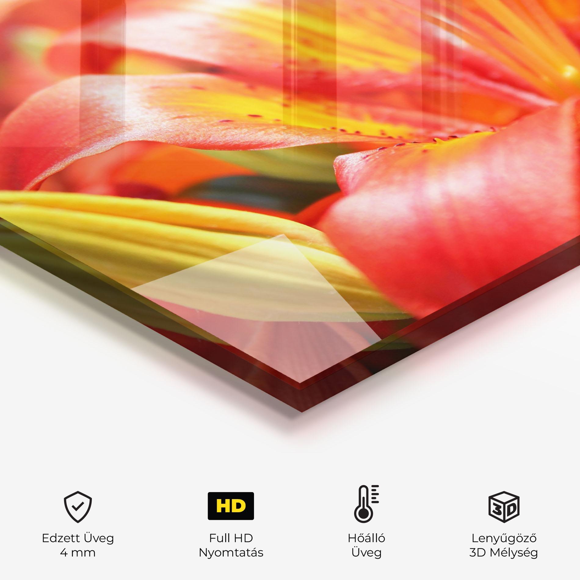 Konyhai üveg hátfal Pretty Orange Exotic mockup 2