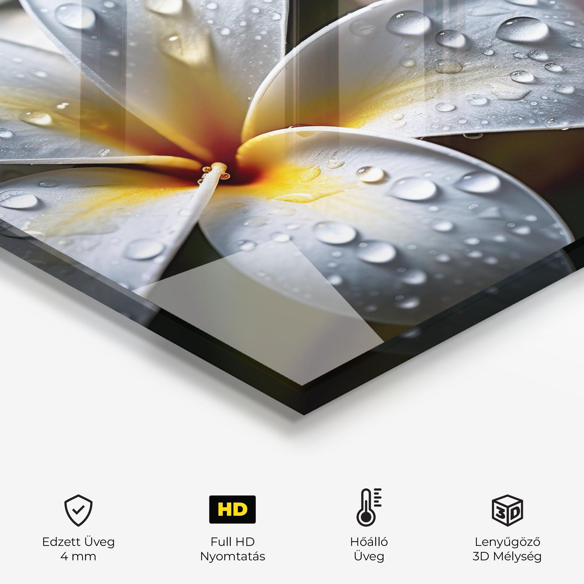 Konyhai üveg hátfal Rainy White Exotic mockup 2