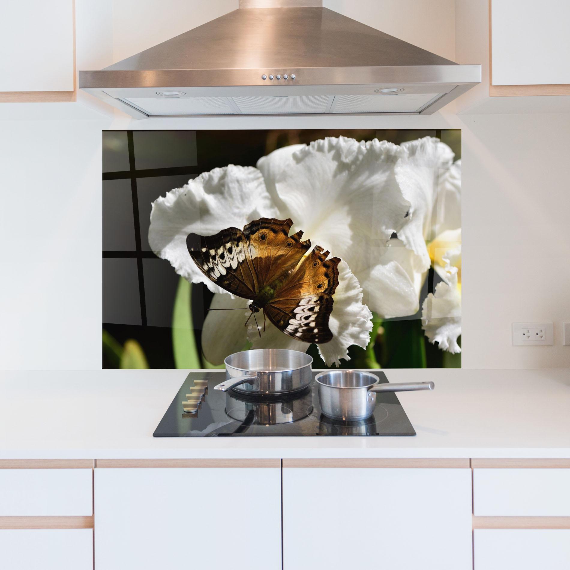 Konyhai üveg hátfal Butterfly Exotic Plant mockup 5