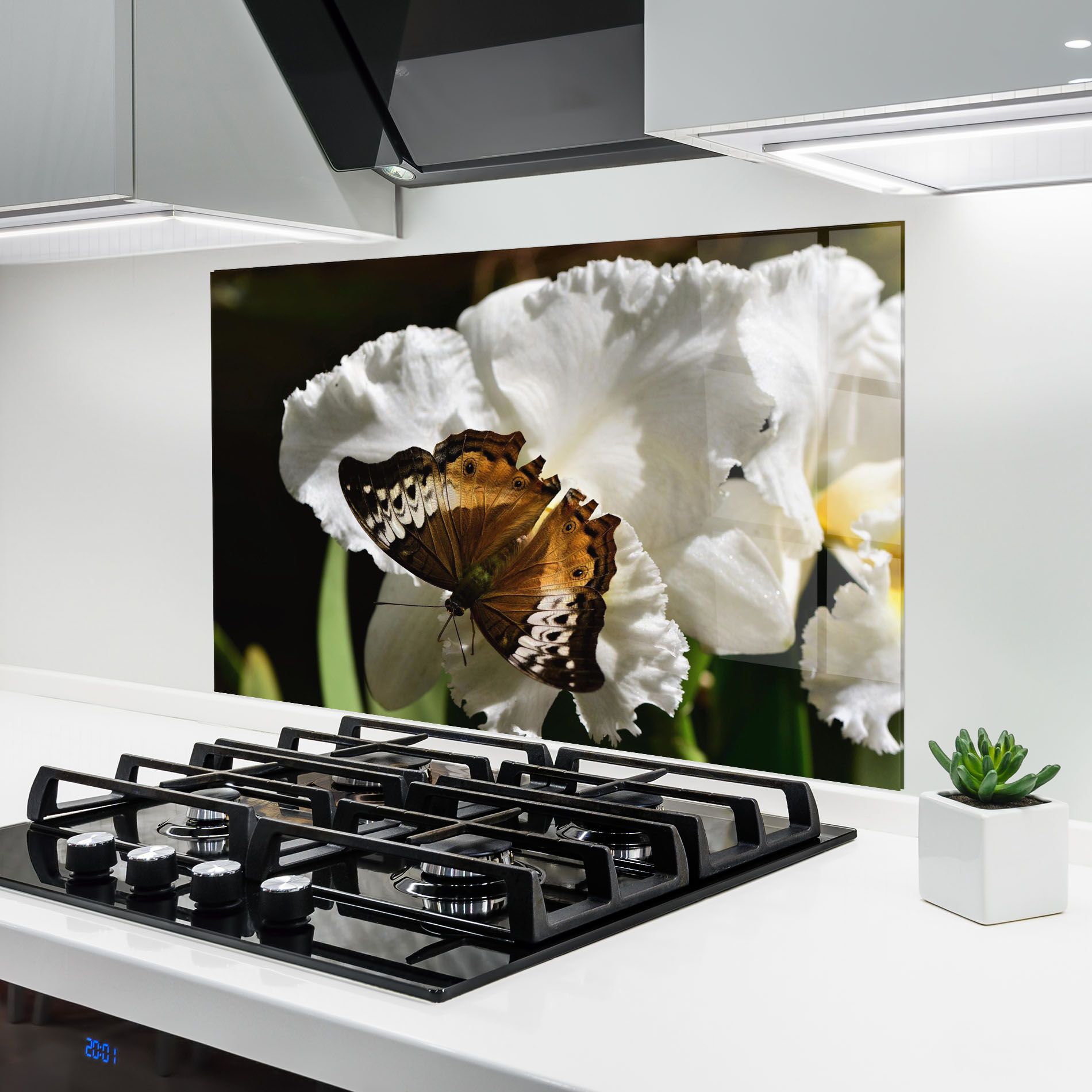 Butterfly Exotic Plant mockup 6