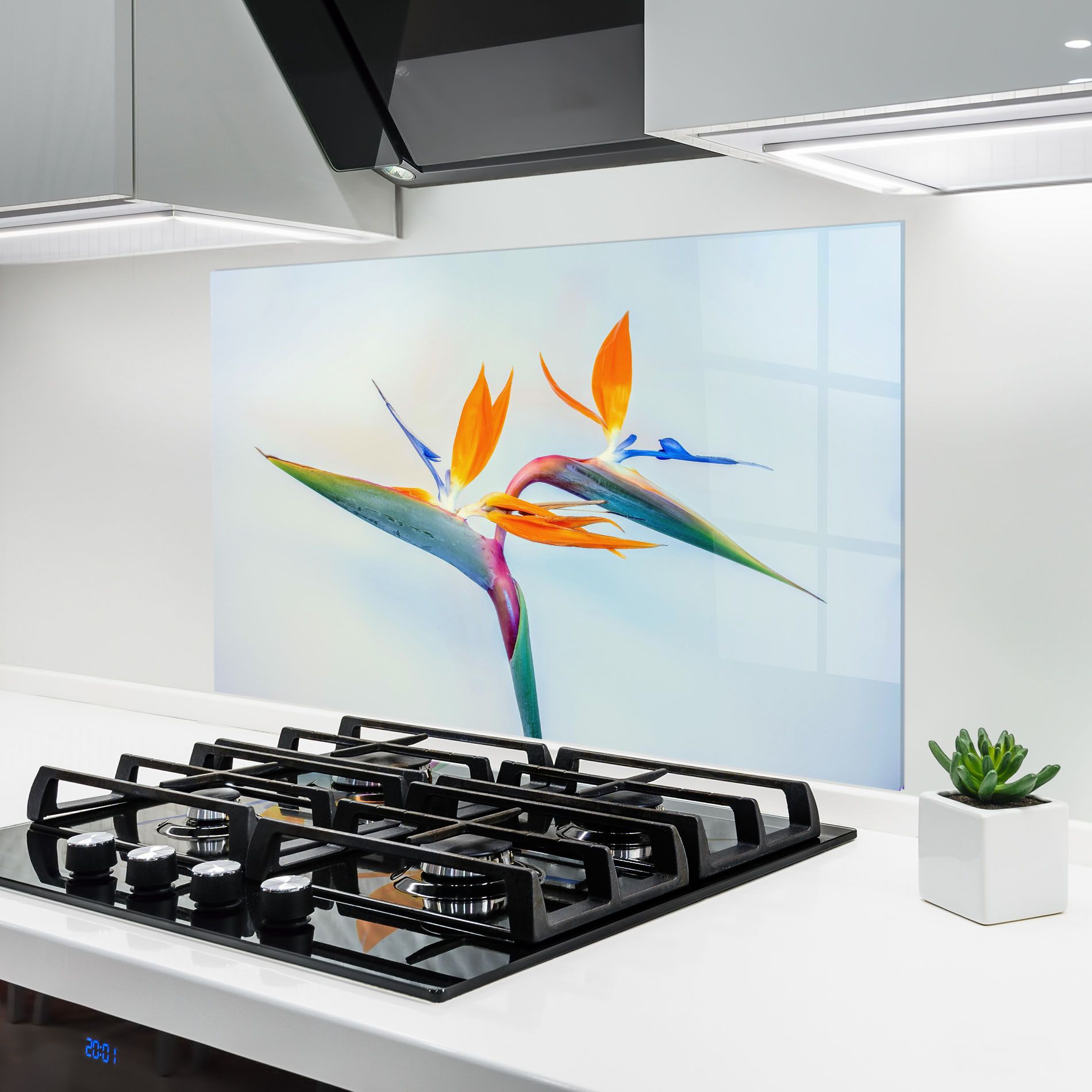 Green Orange Exotic mockup 6