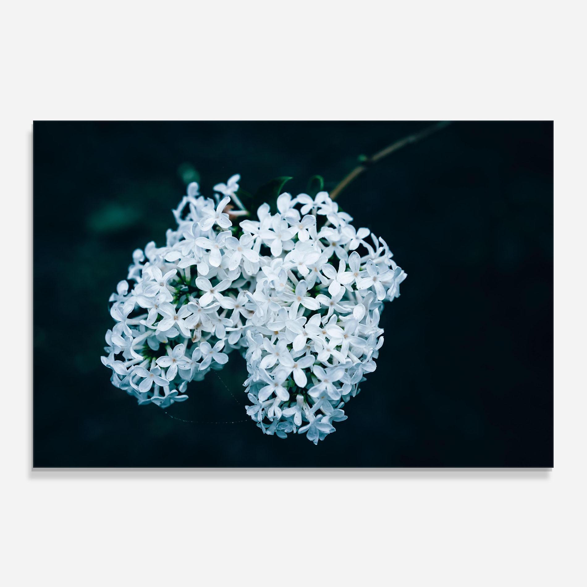 Konyhai üveg hátfal Green Light Flower mockup 0