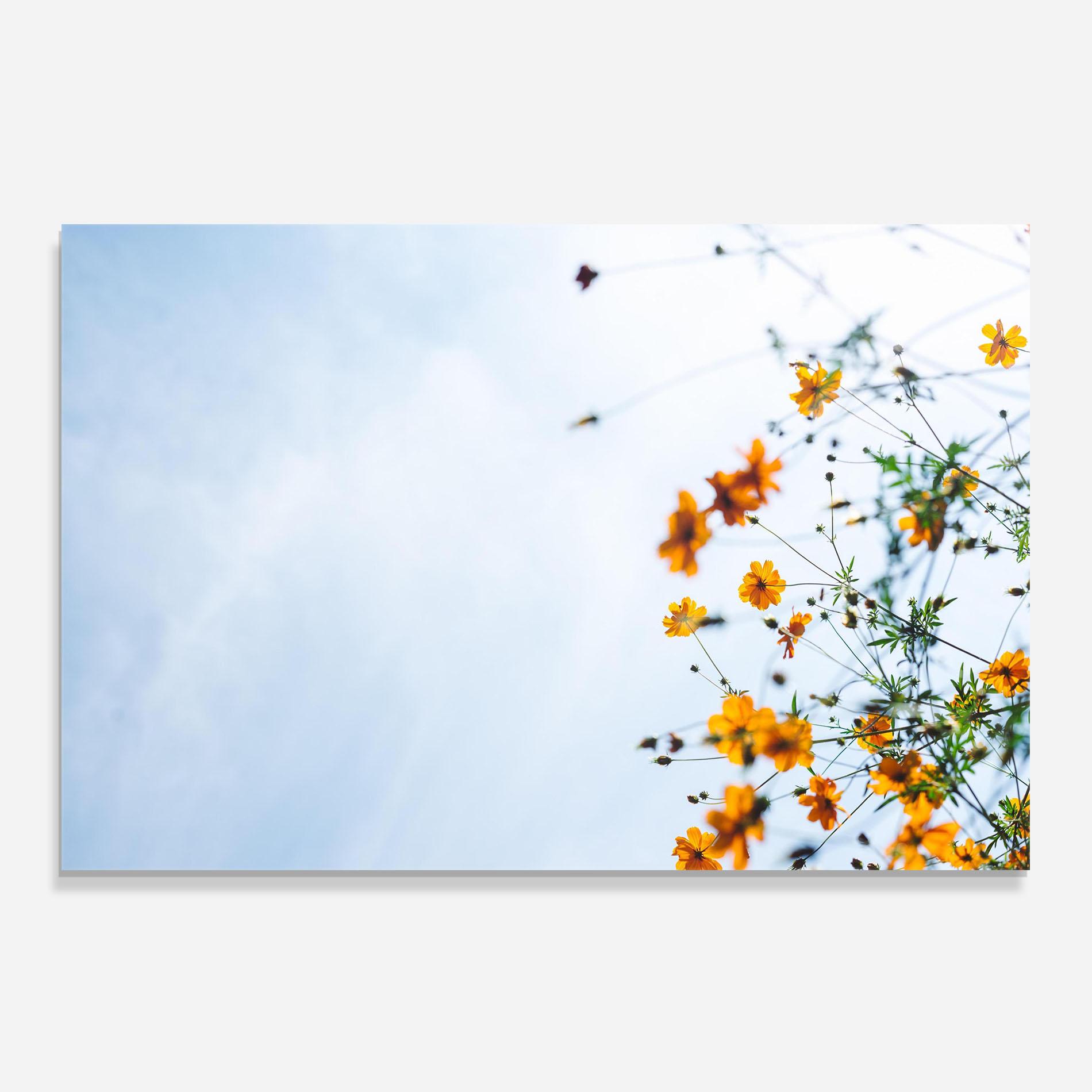 Konyhai üveg hátfal Masaaki Komori 7xp5bj34ybg Unsplash mockup 0