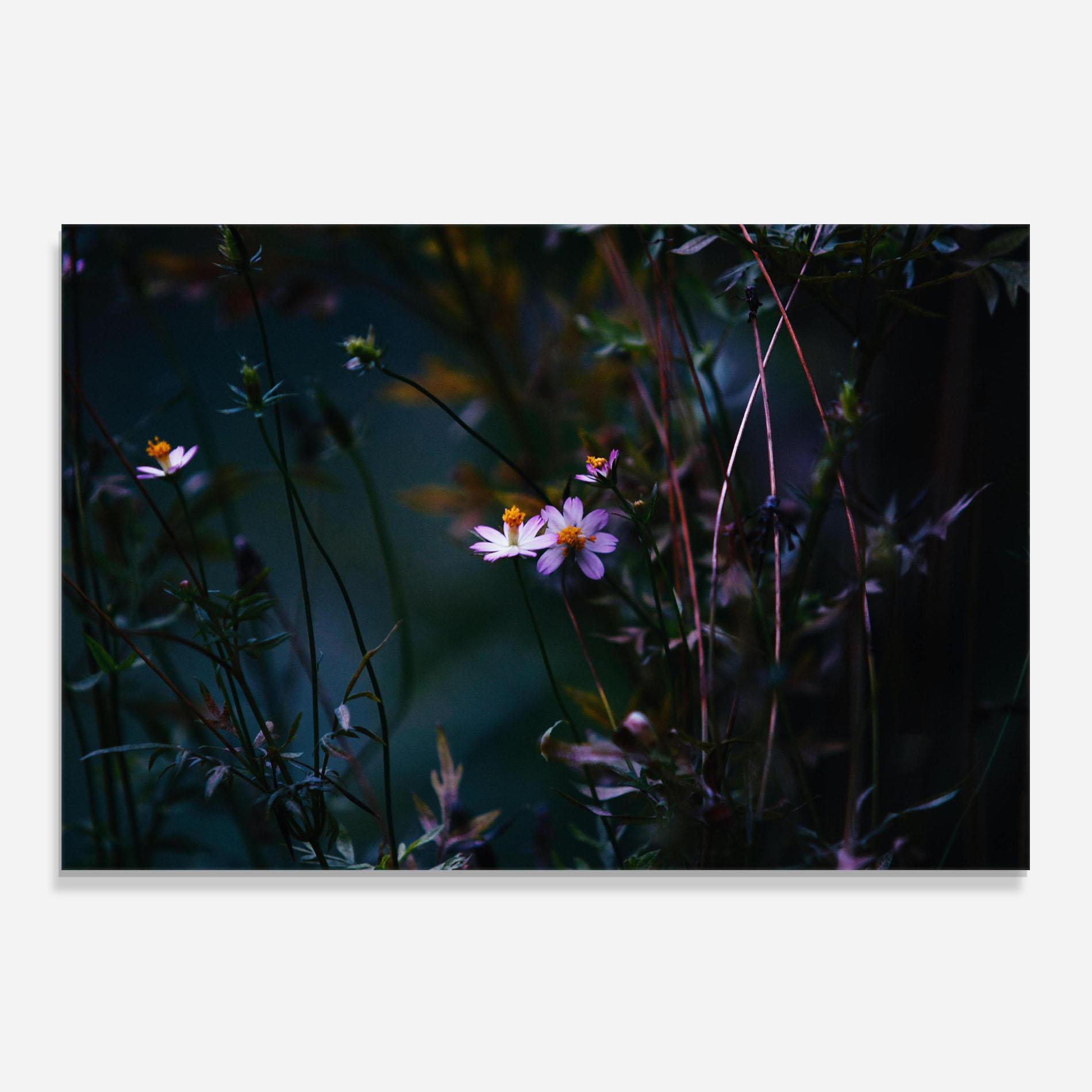 Konyhai üveg hátfal Night Flowers mockup 0