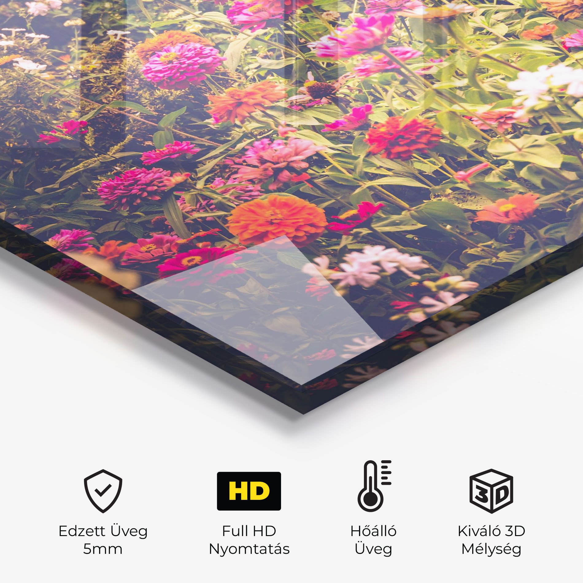 Colorful Wild Field mockup 2