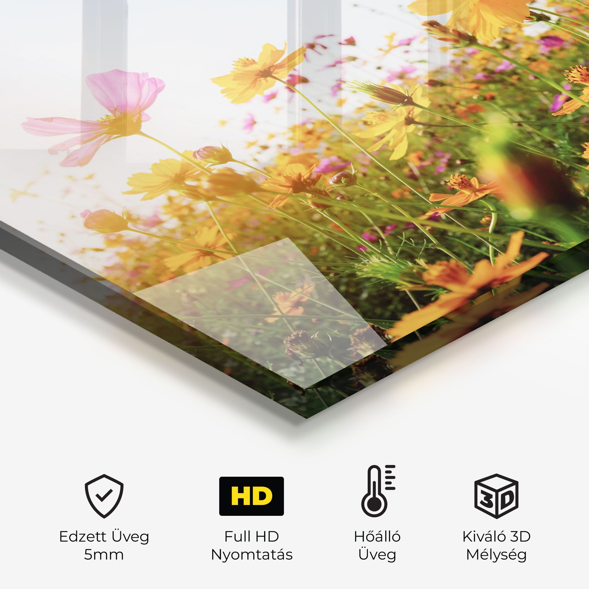 Cosmos Field Sunset mockup 2