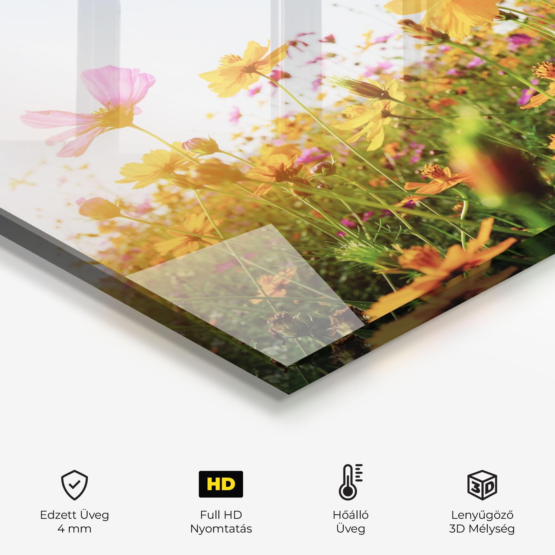 Konyhai üveg hátfal Cosmos Field Sunset mockup 2