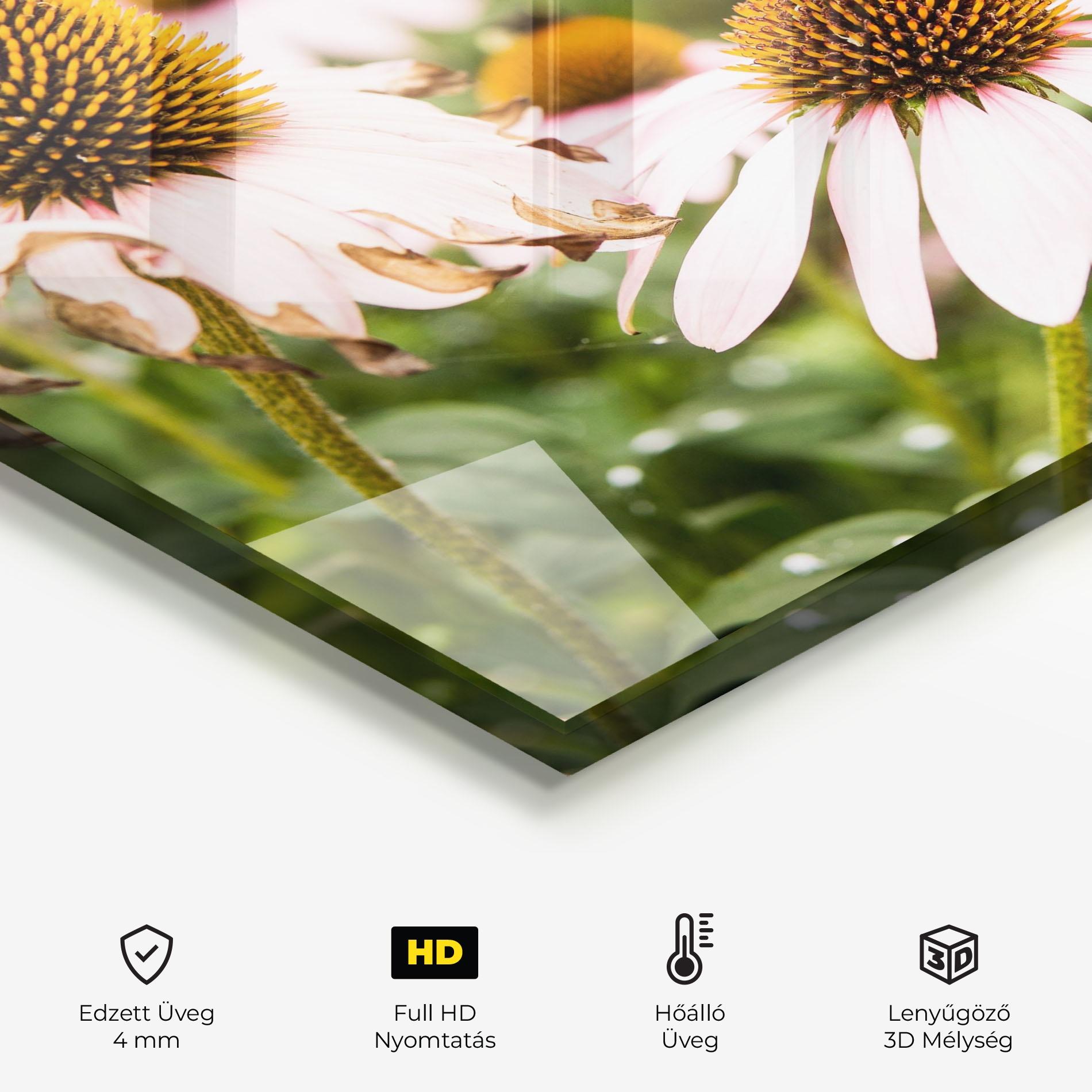 Konyhai üveg hátfal Daylight Bee mockup 2