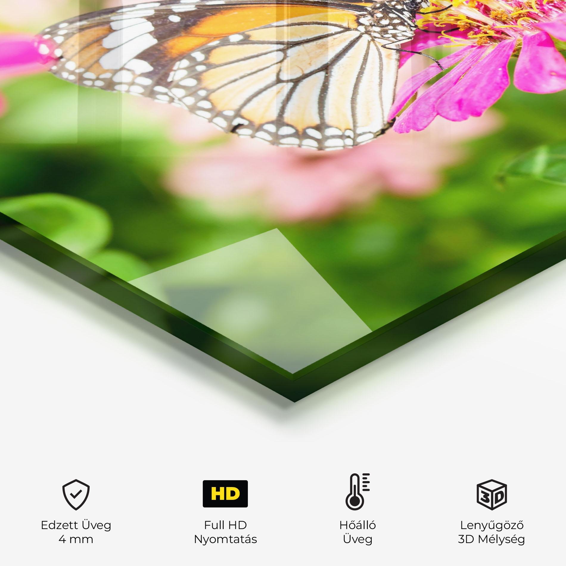 Konyhai üveg hátfal Daylight Butterfly mockup 2
