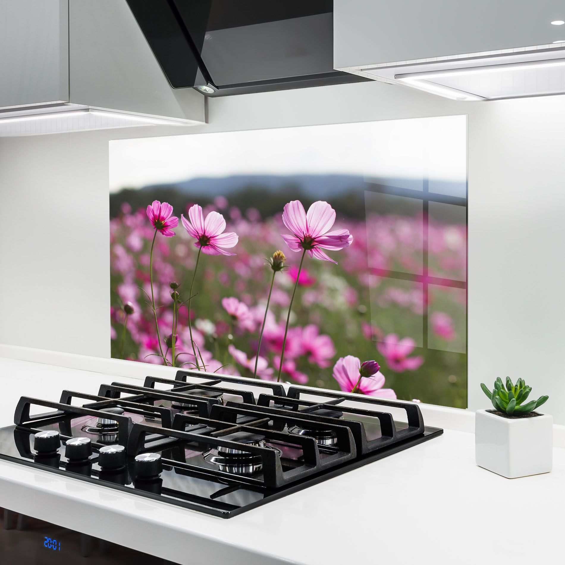 Cosmos Flower mockup 6