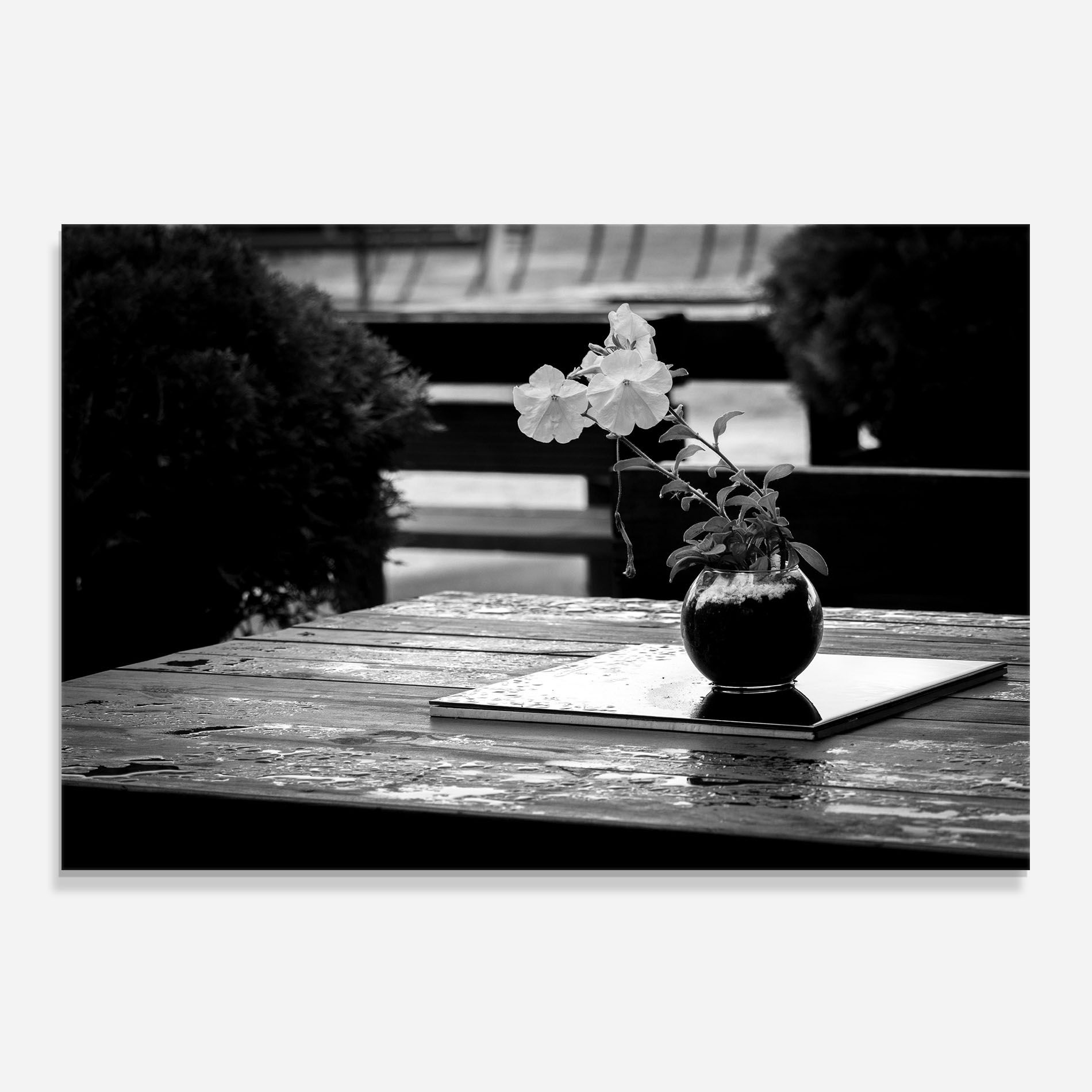 Black Vase View mockup 0