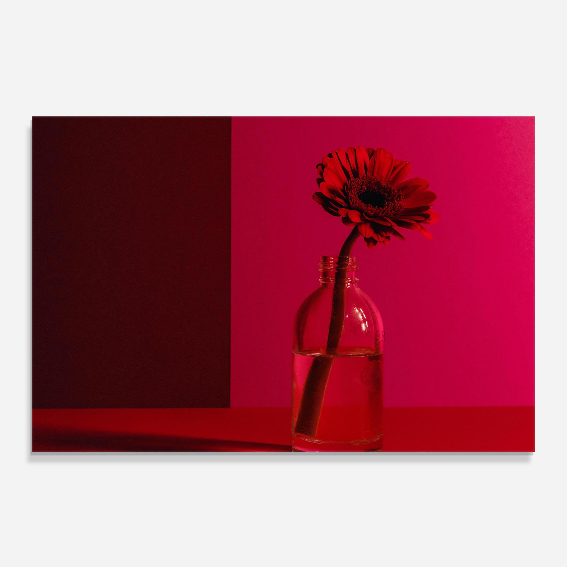 Konyhai üveg hátfal Red Light Vase mockup 0