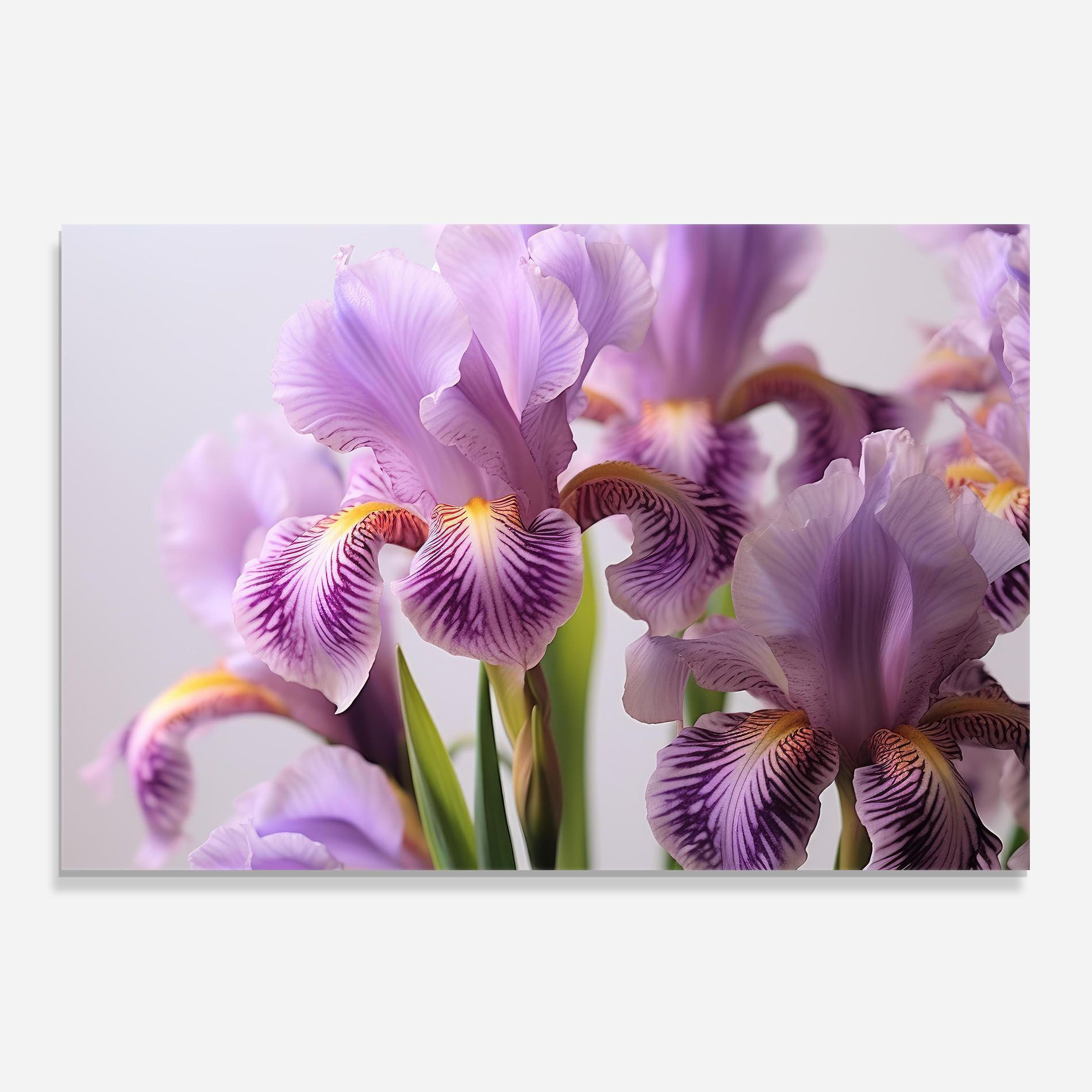 Iris In Vase mockup 0