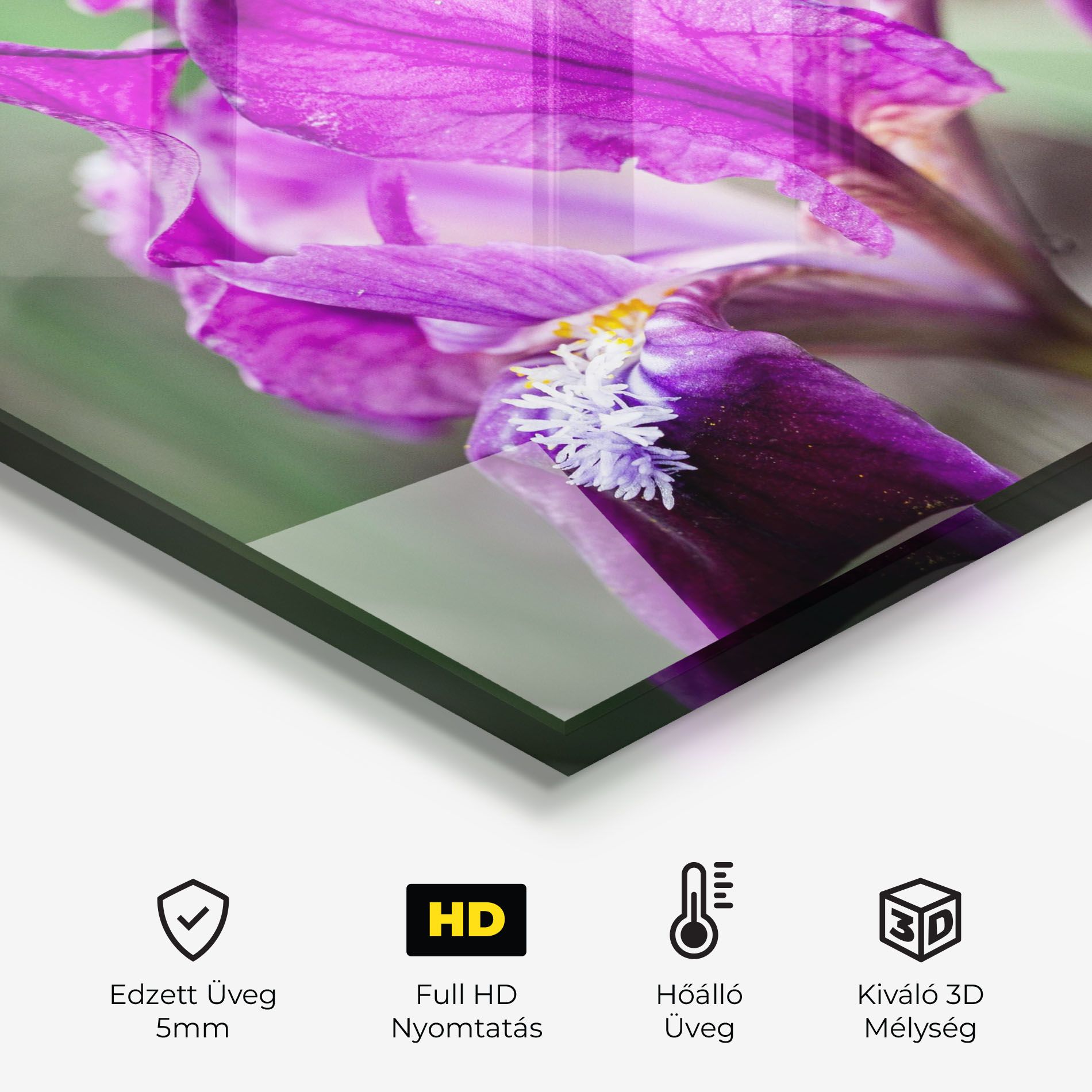 Dark Pink Iris mockup 2