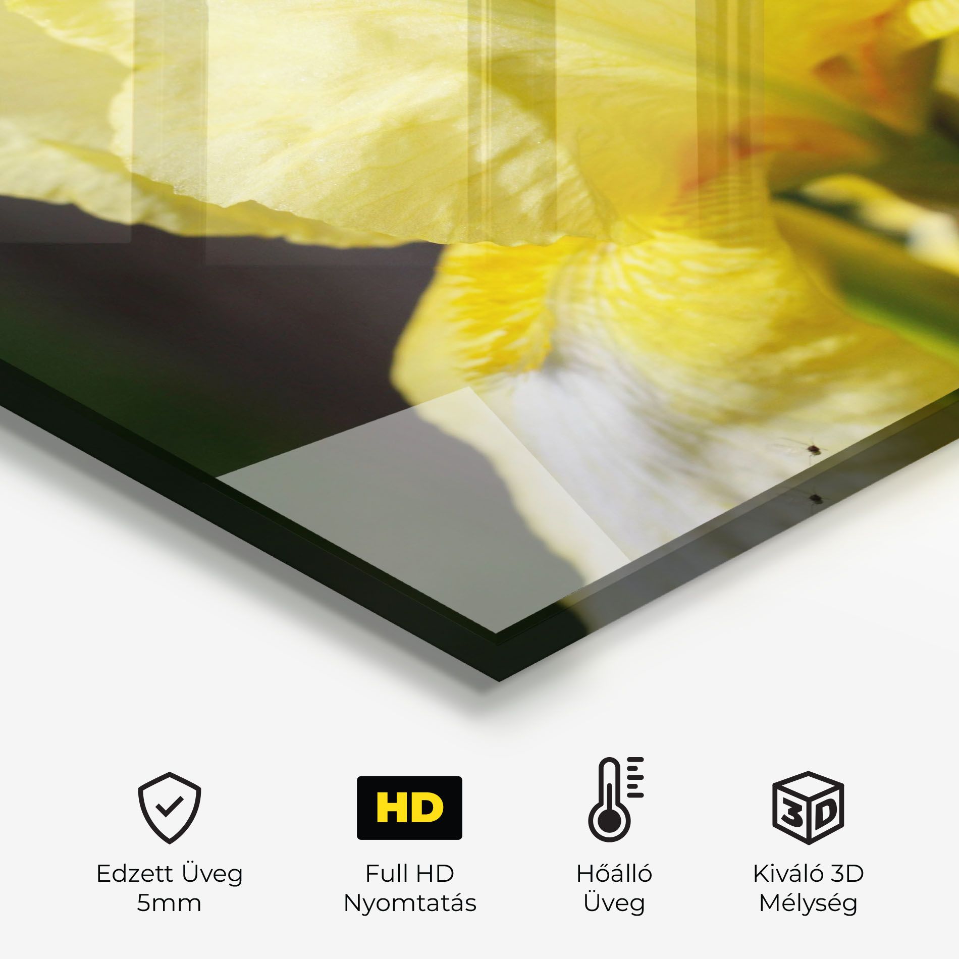 Garden Yellow Iris mockup 2