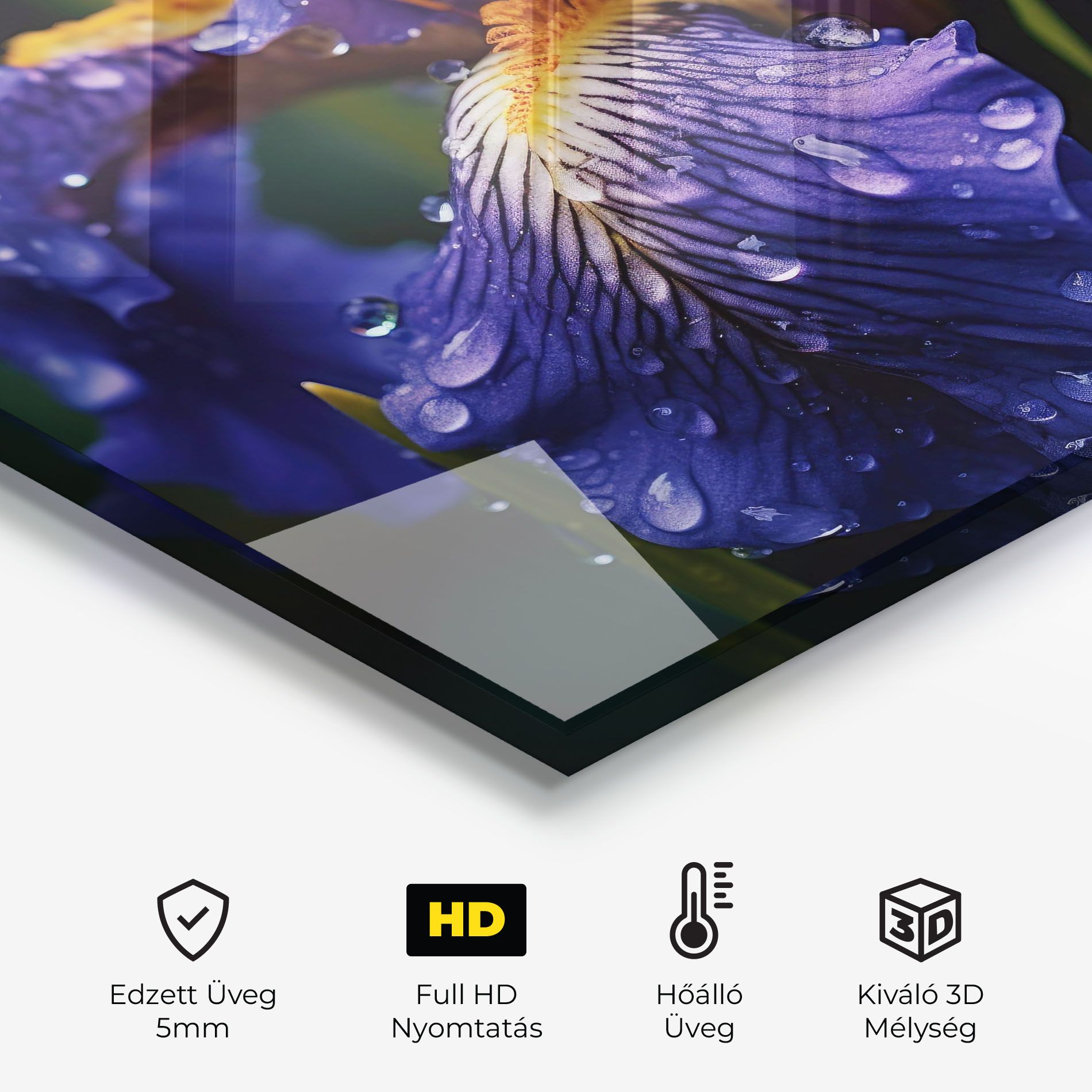 Iris After Rain mockup 2