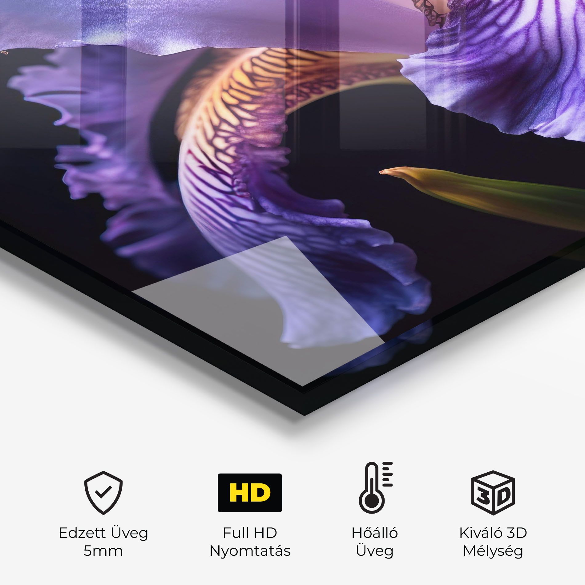 Iris Beautiful Close Up mockup 2