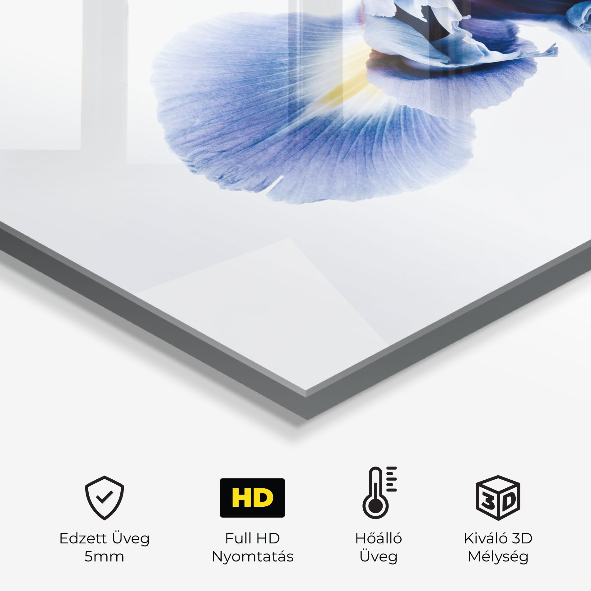 Iris Flower mockup 2