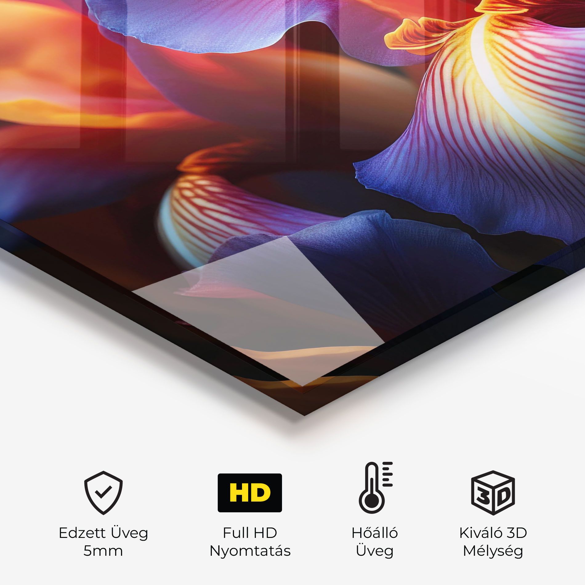 Orange Purple Iris mockup 2