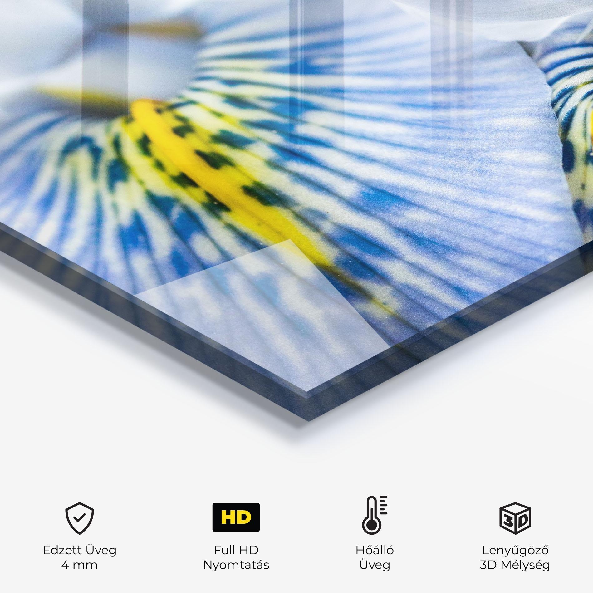 Konyhai üveg hátfal Blue Yellow Iris mockup 2