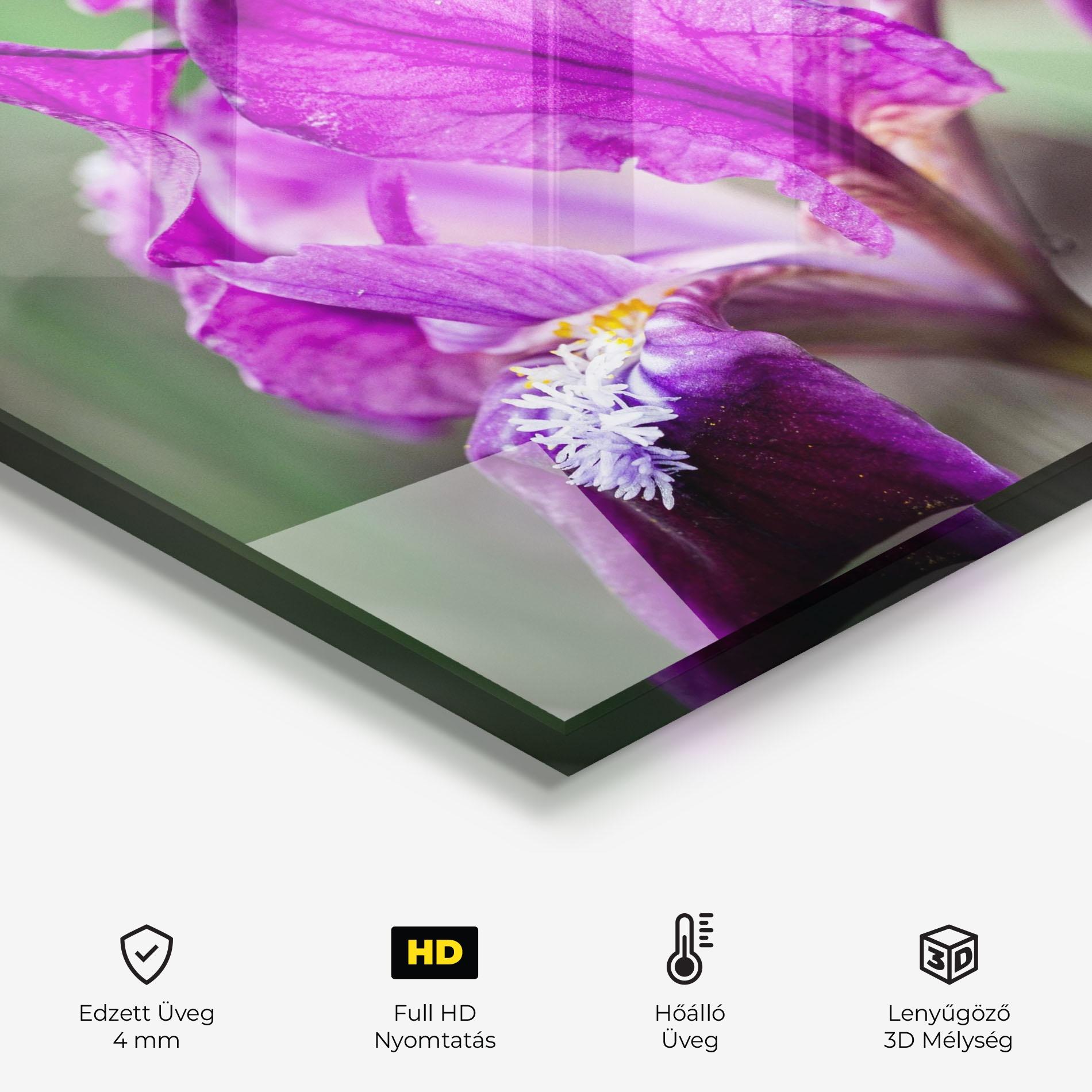 Konyhai üveg hátfal Dark Pink Iris mockup 2