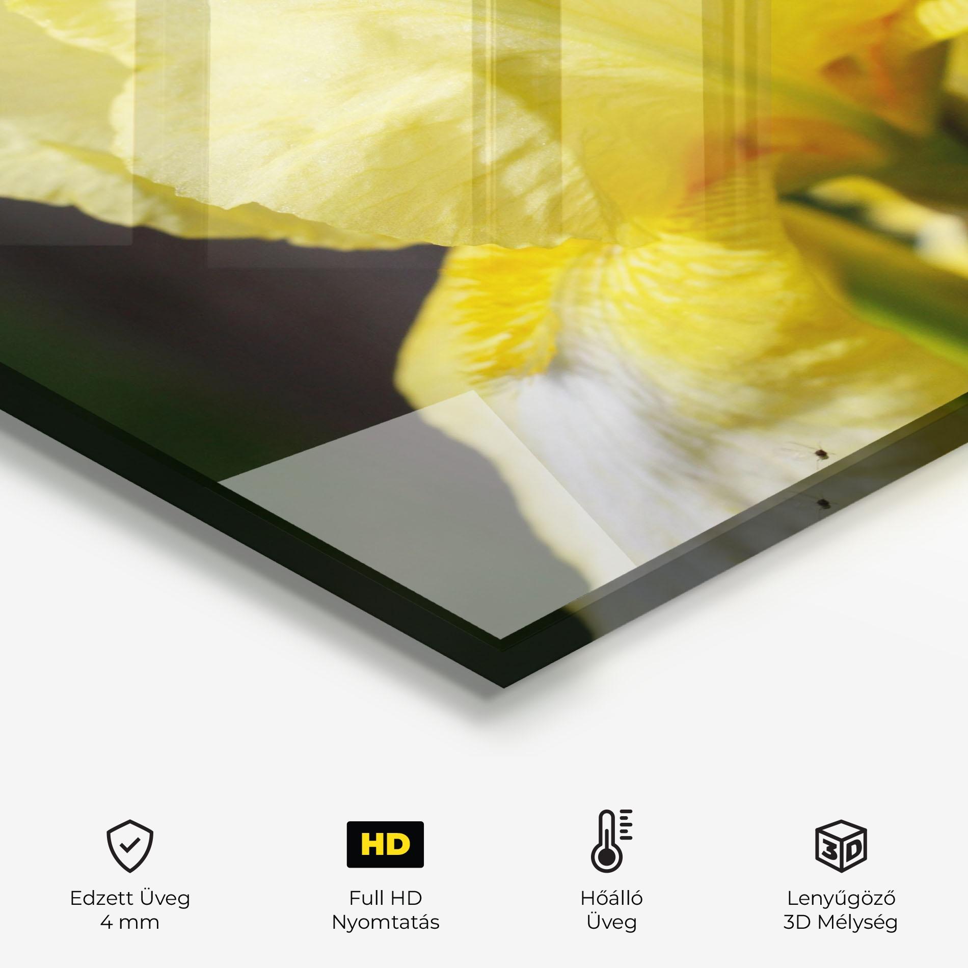 Konyhai üveg hátfal Garden Yellow Iris mockup 2