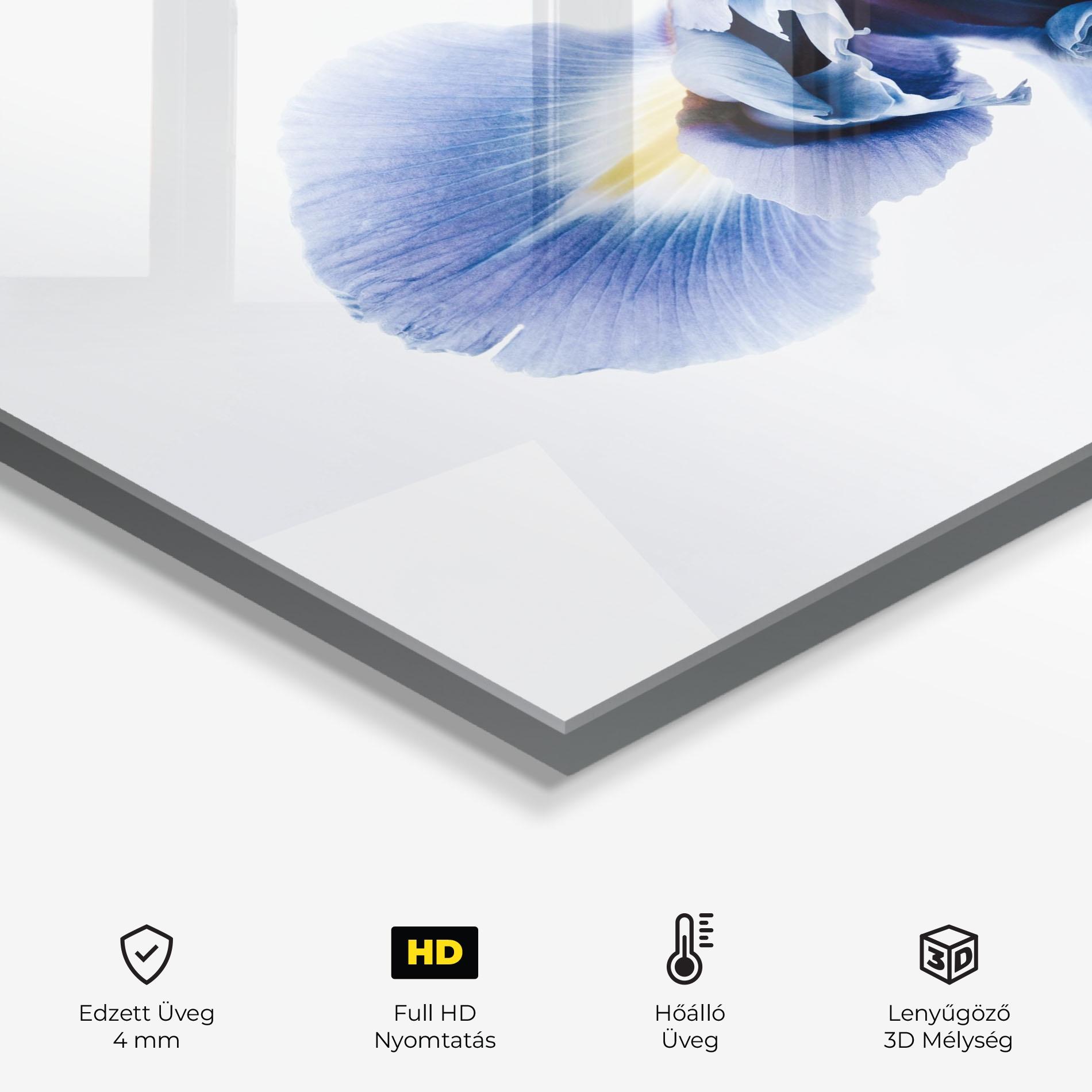 Konyhai üveg hátfal Iris Flower mockup 2