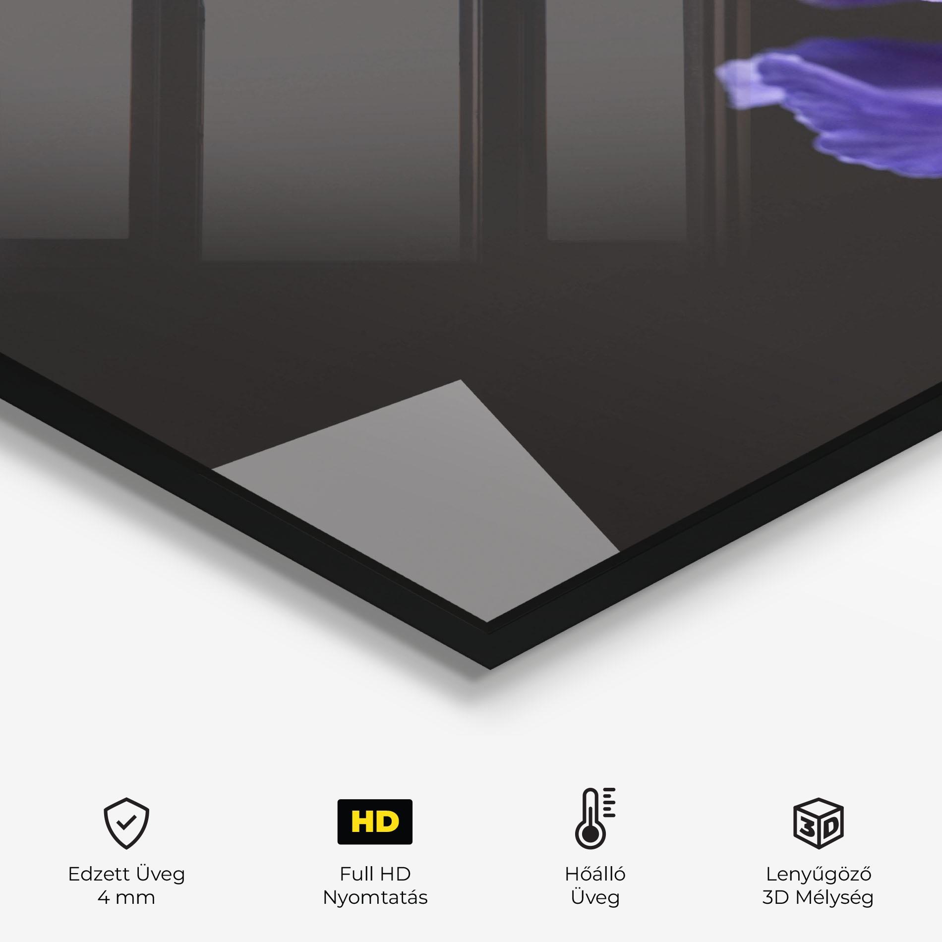 Konyhai üveg hátfal Iris On Black mockup 2