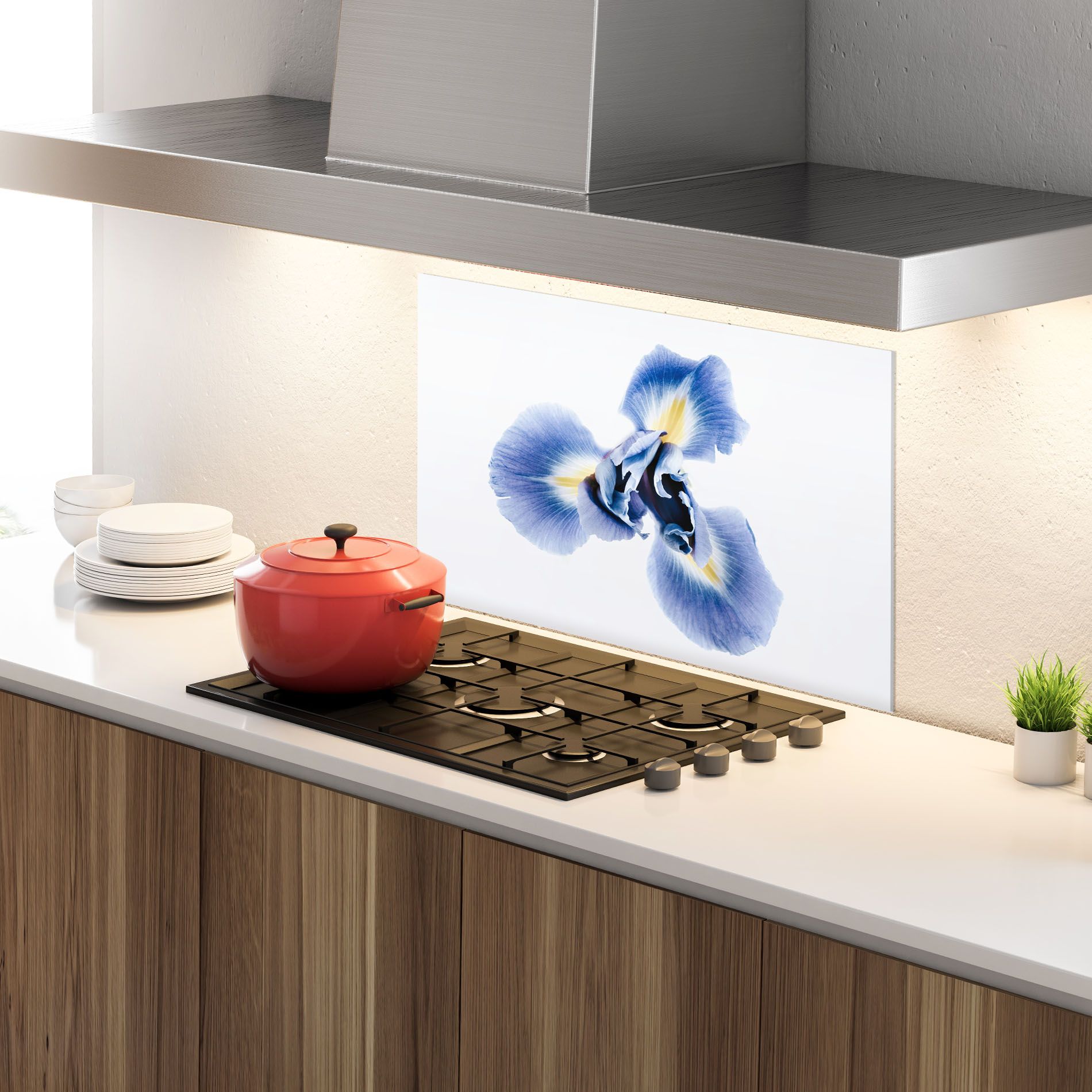 Iris Flower mockup 4