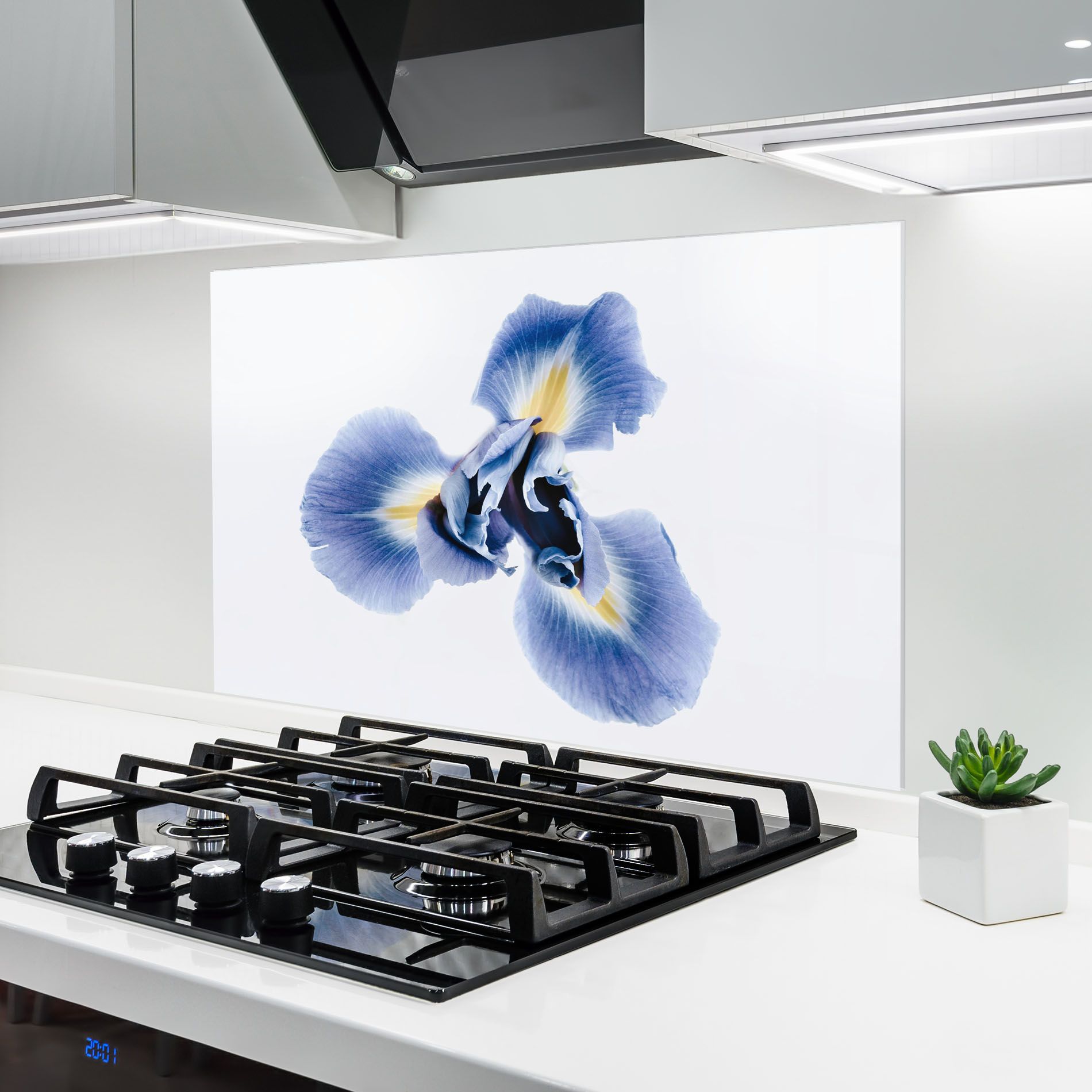 Iris Flower mockup 6