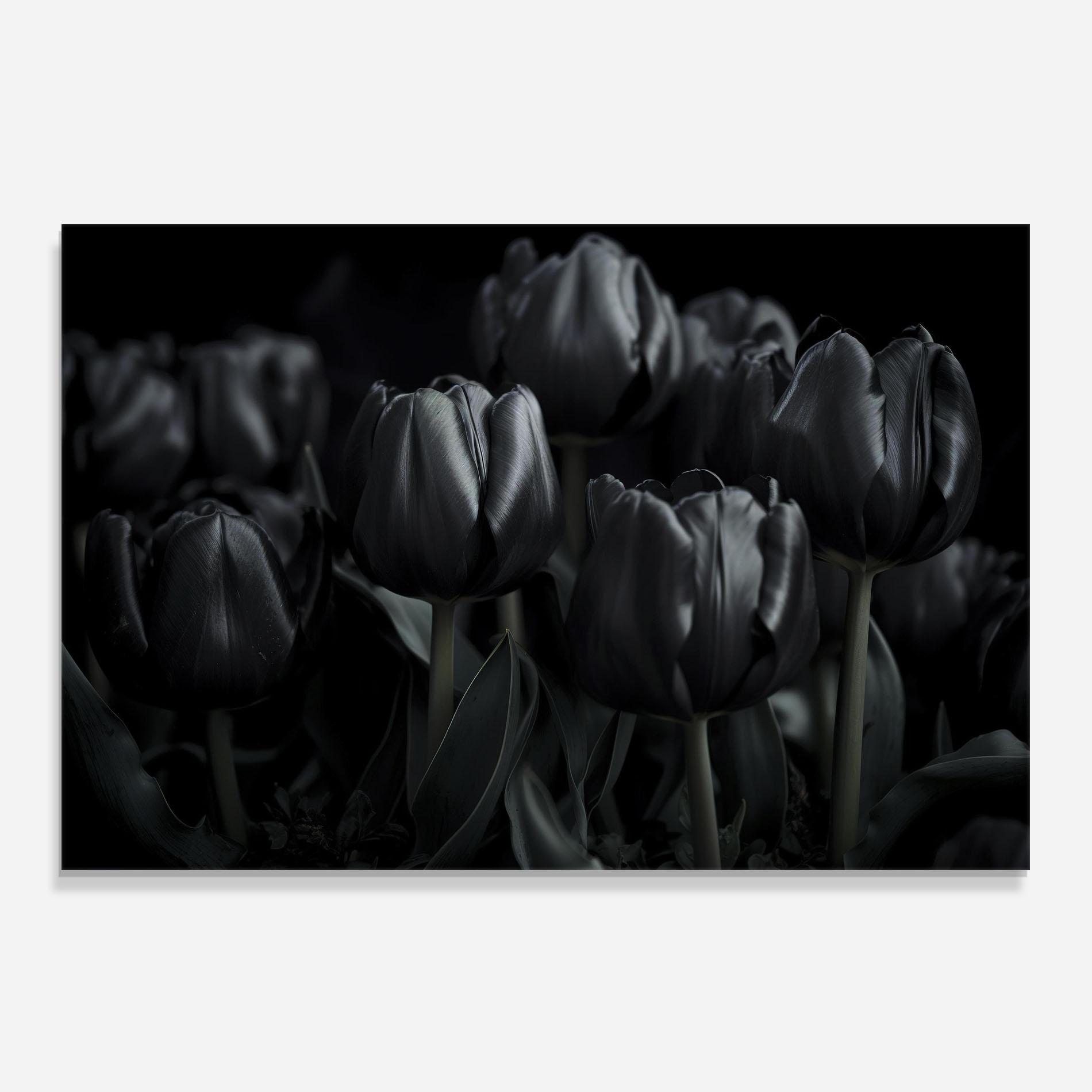 Konyhai üveg hátfal Black Tulips mockup 0