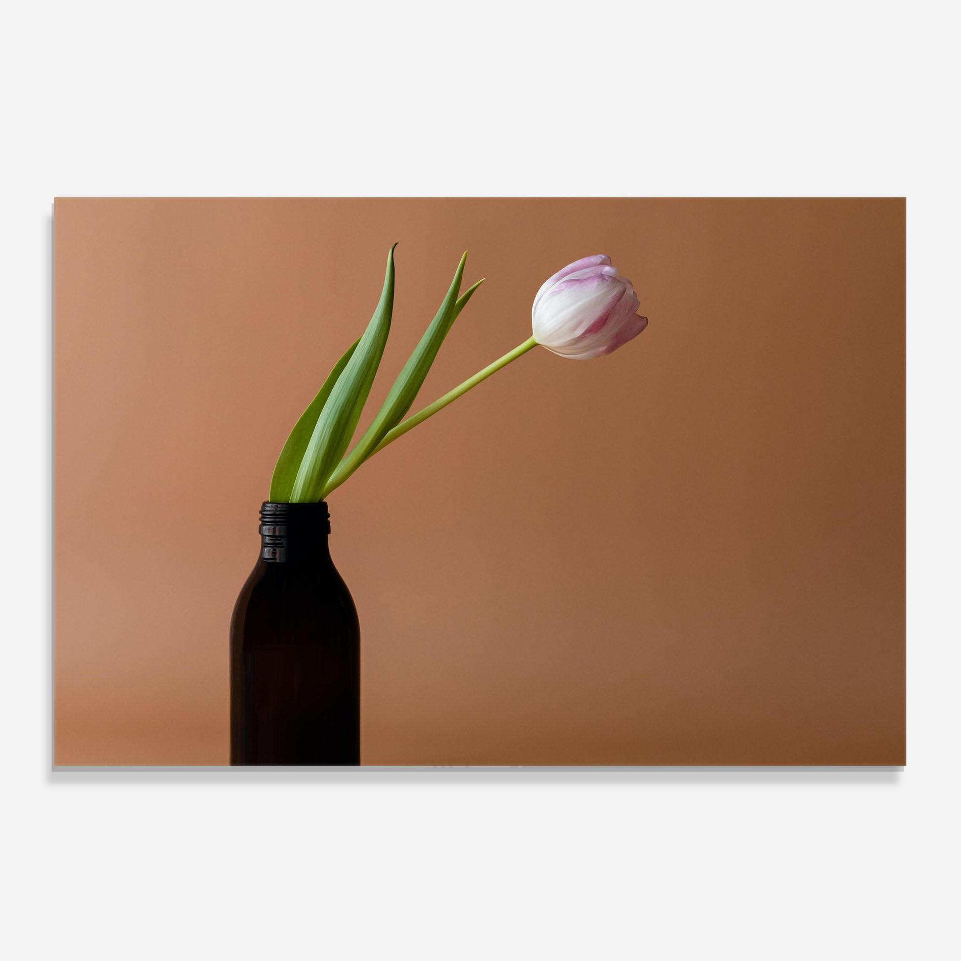 Konyhai üveg hátfal One Pink Tulip mockup 0
