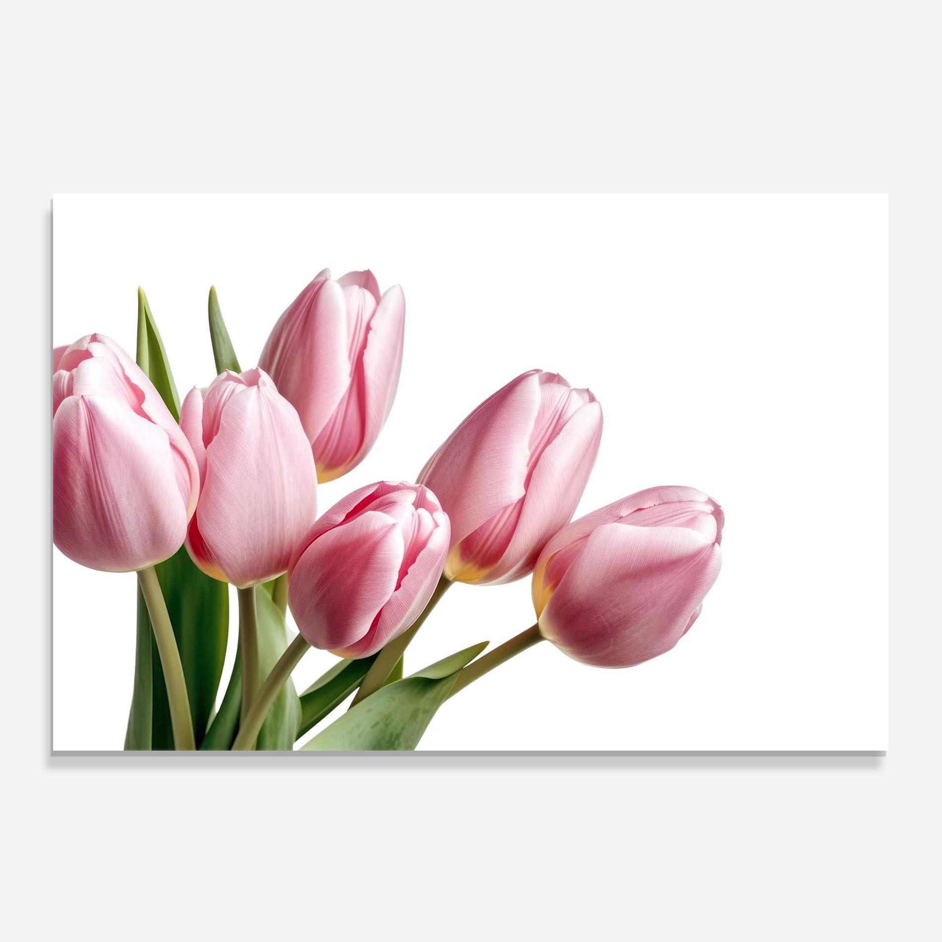 Pink Tulips mockup 0