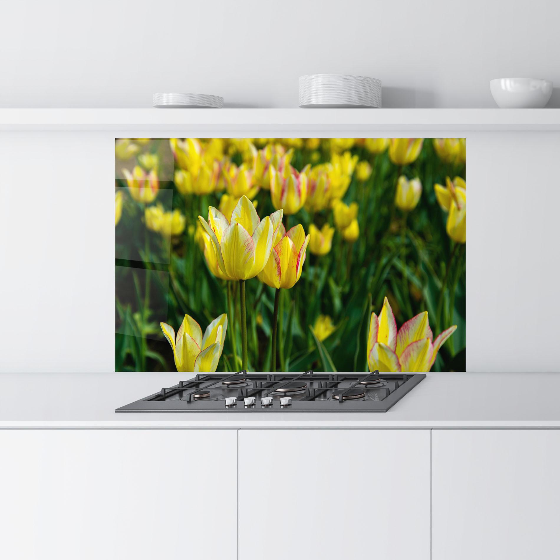Konyhai üveg hátfal Light Yellow Tulips mockup 9