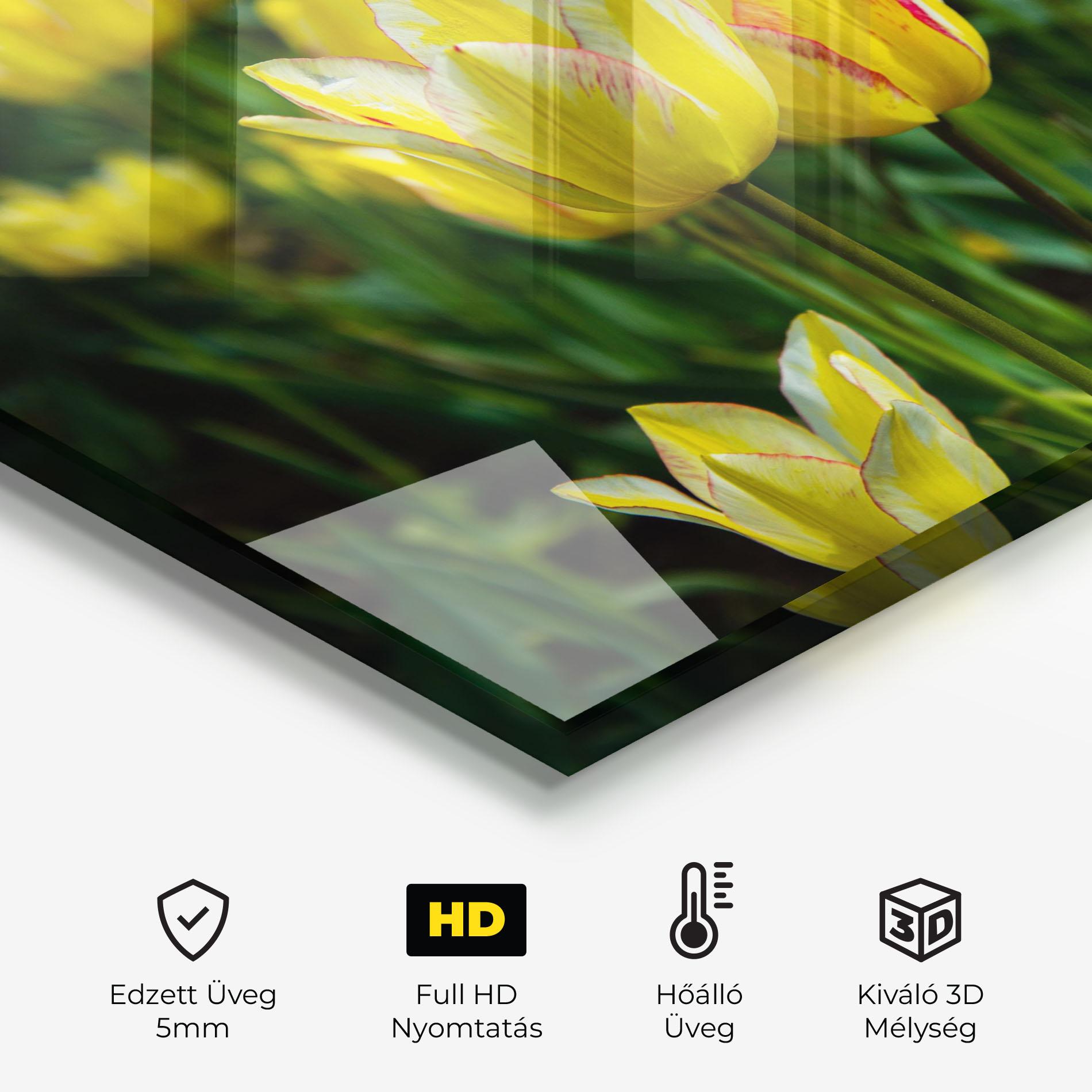 Konyhai üveg hátfal Light Yellow Tulips mockup 2