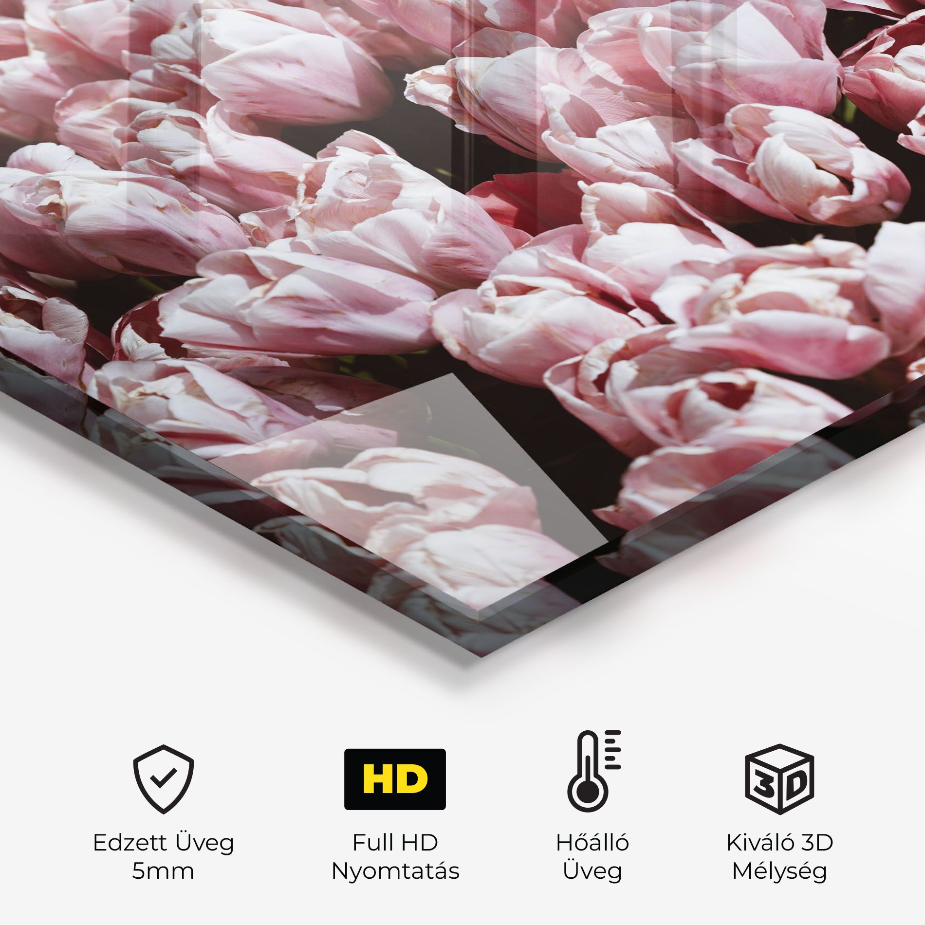 Pastel Pink Tulips Wall mockup 2