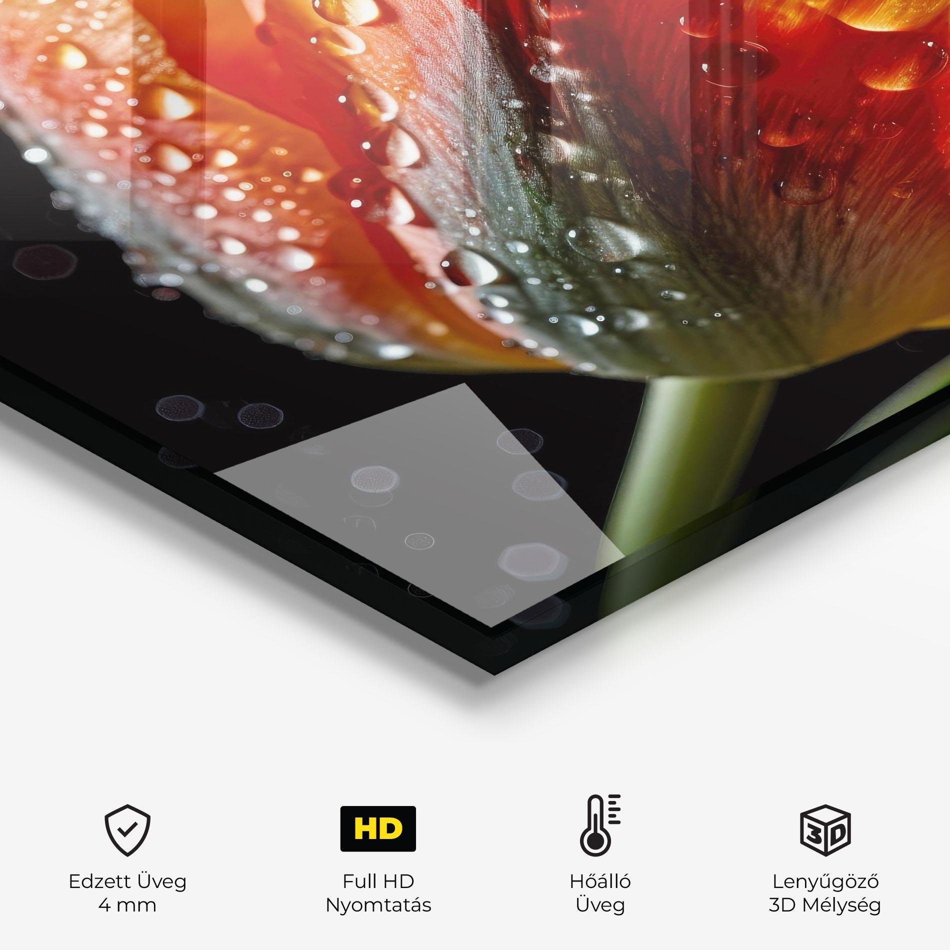 Konyhai üveg hátfal Big Wet Orange Tulip mockup 2