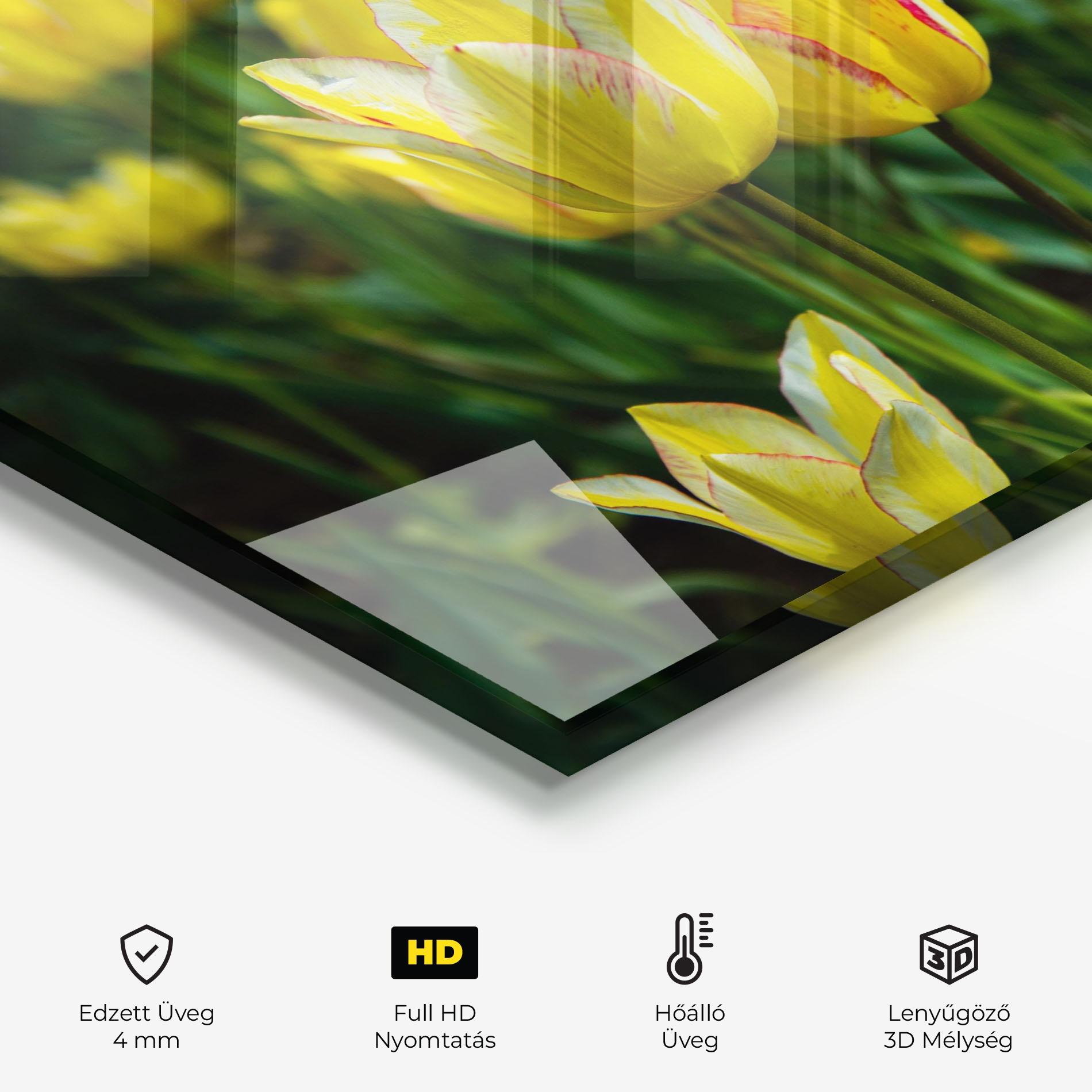 Konyhai üveg hátfal Light Yellow Tulips mockup 2