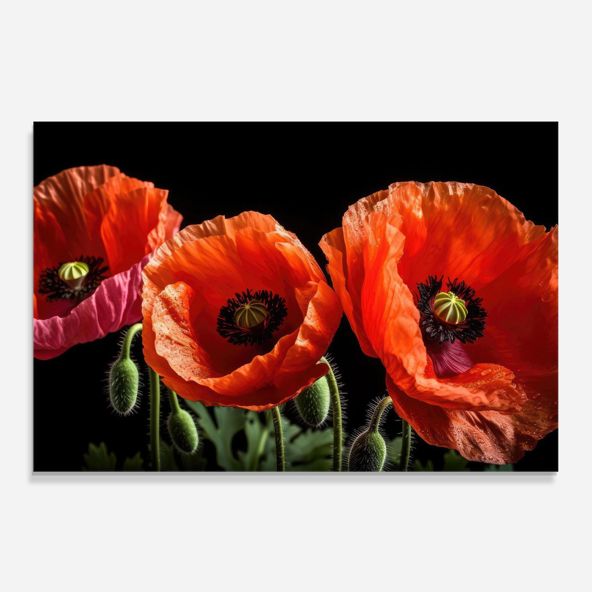 Konyhai üveg hátfal Dark Orange Poppies mockup 0