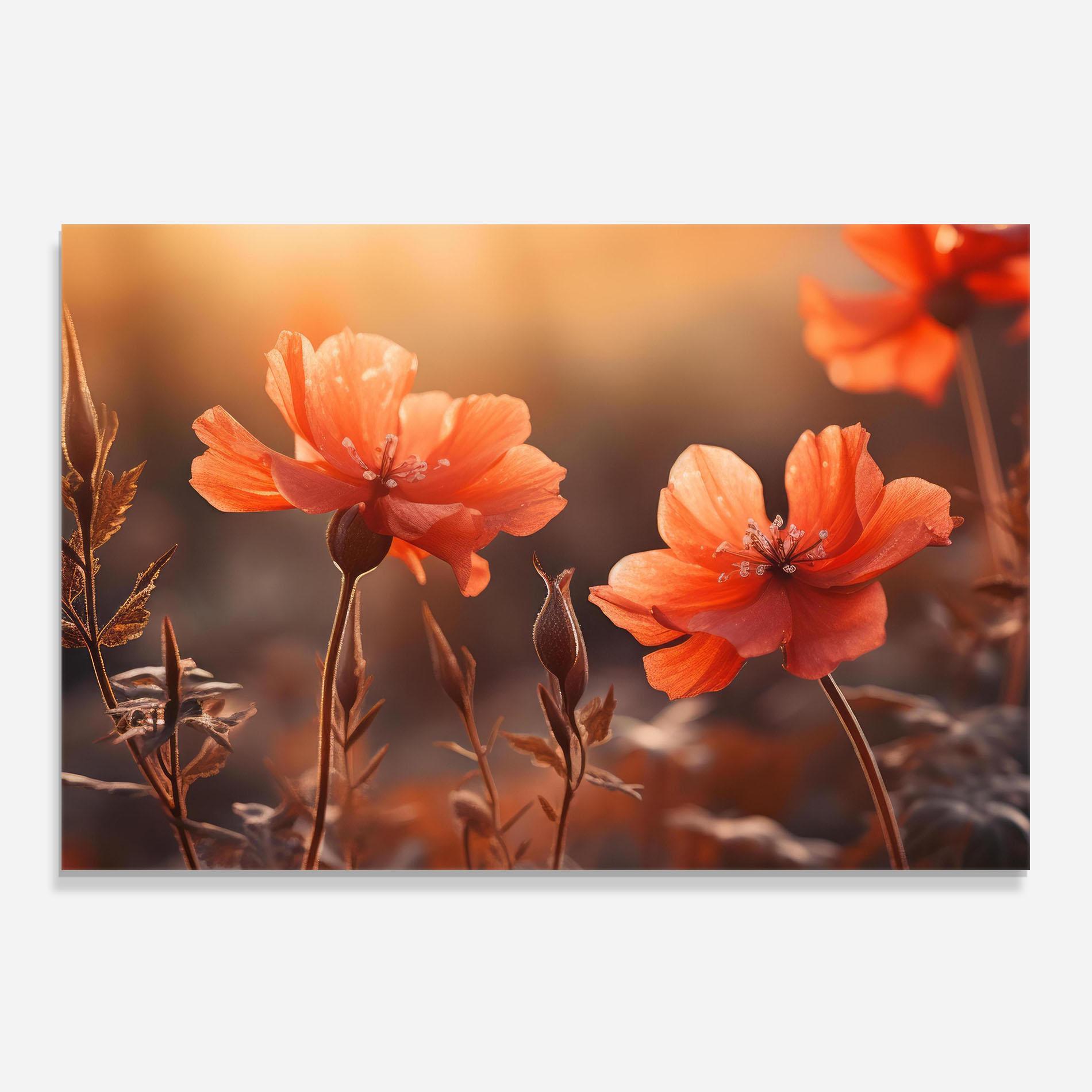 Konyhai üveg hátfal Orange Small Poppy mockup 0