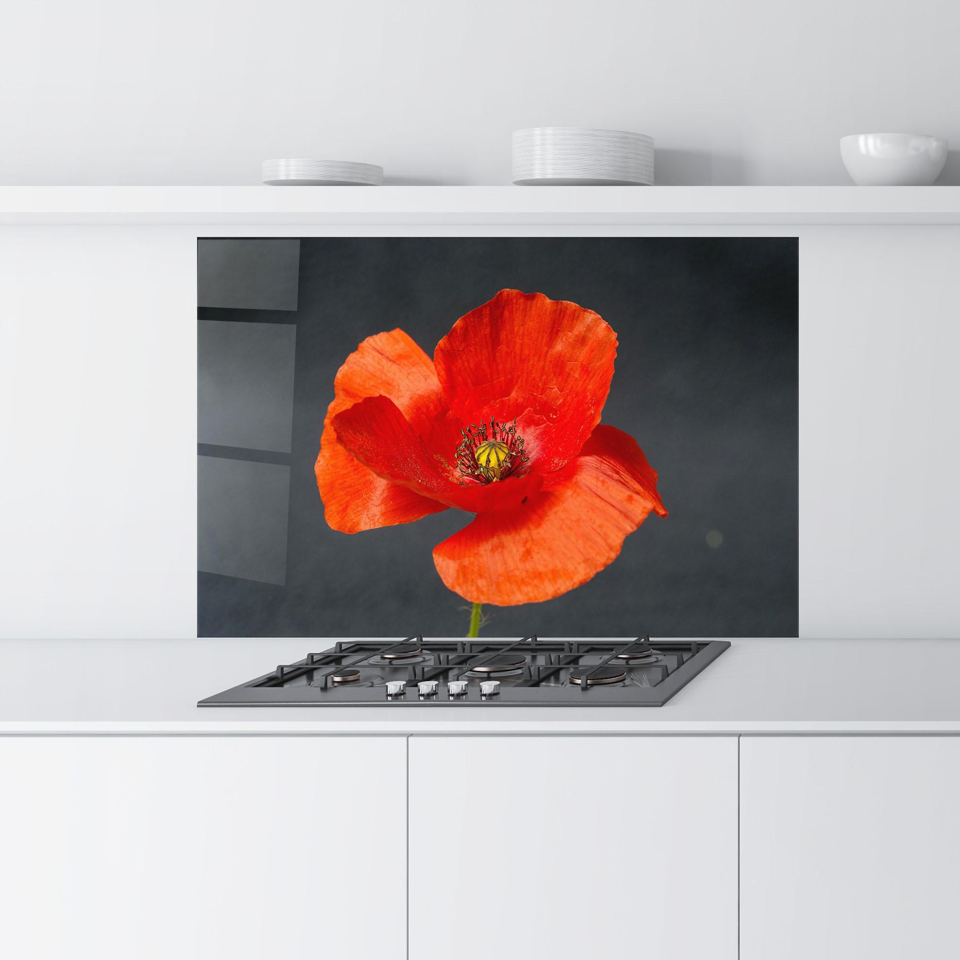 Konyhai üveg hátfal Light Red Poppy mockup 9