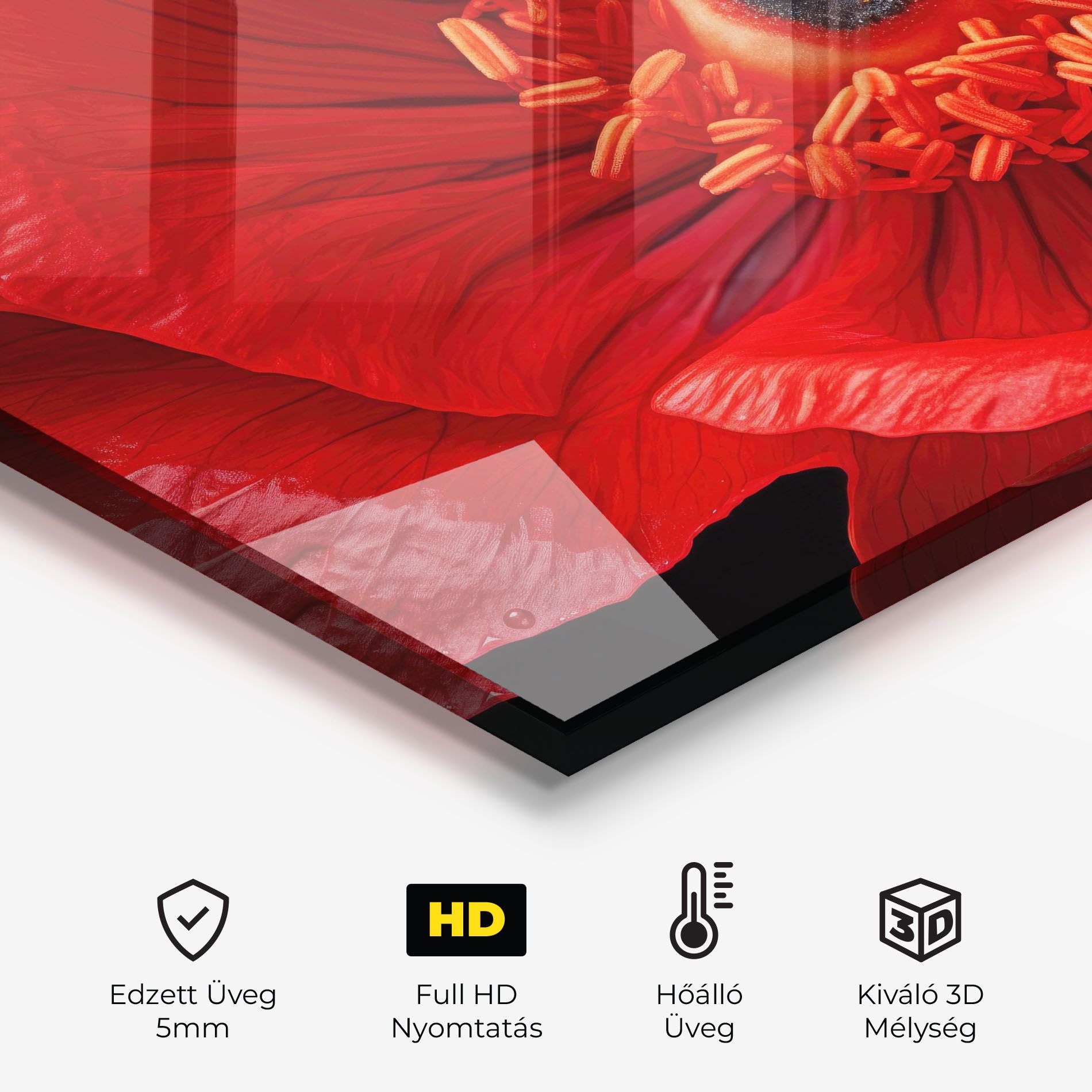 Big Poppy Close Up mockup 2