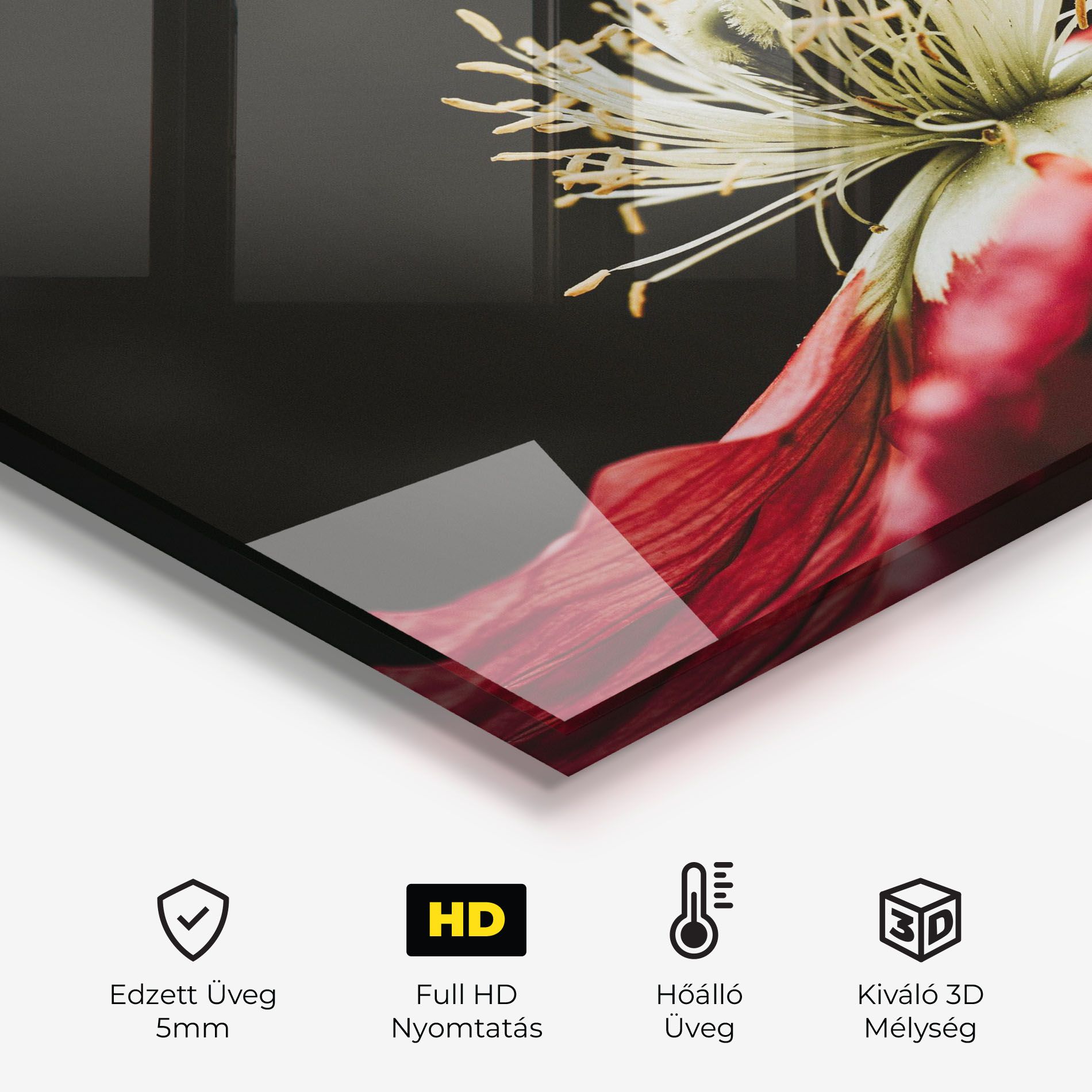 Open Poppy Close Up mockup 2