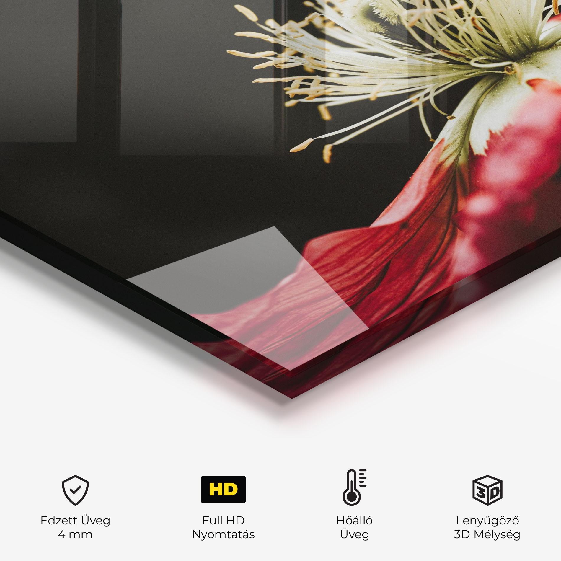 Konyhai üveg hátfal Open Poppy Close Up mockup 2