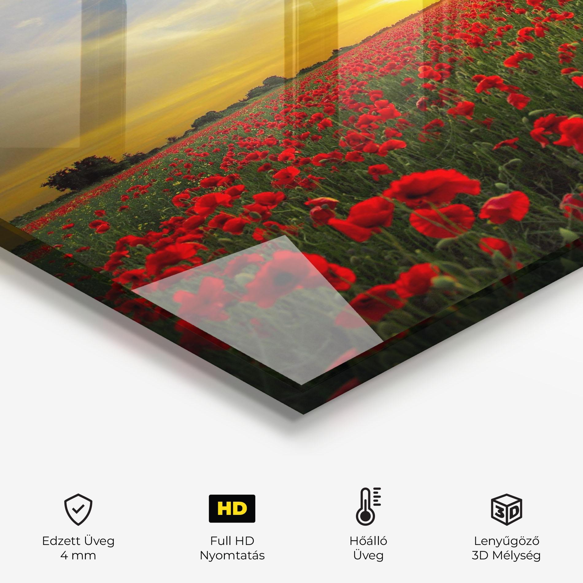 Konyhai üveg hátfal Poppies Sunset mockup 2