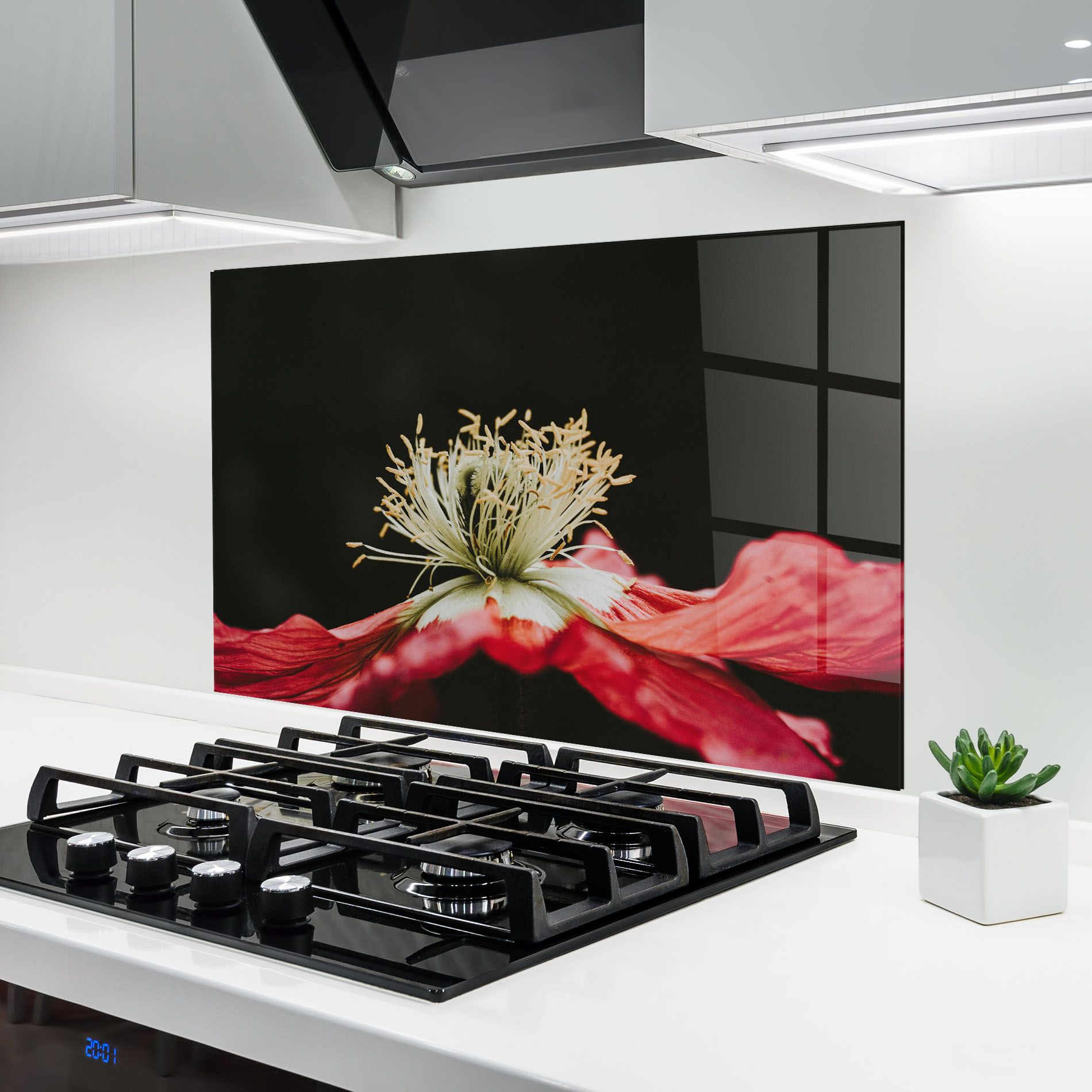 Open Poppy Close Up mockup 6