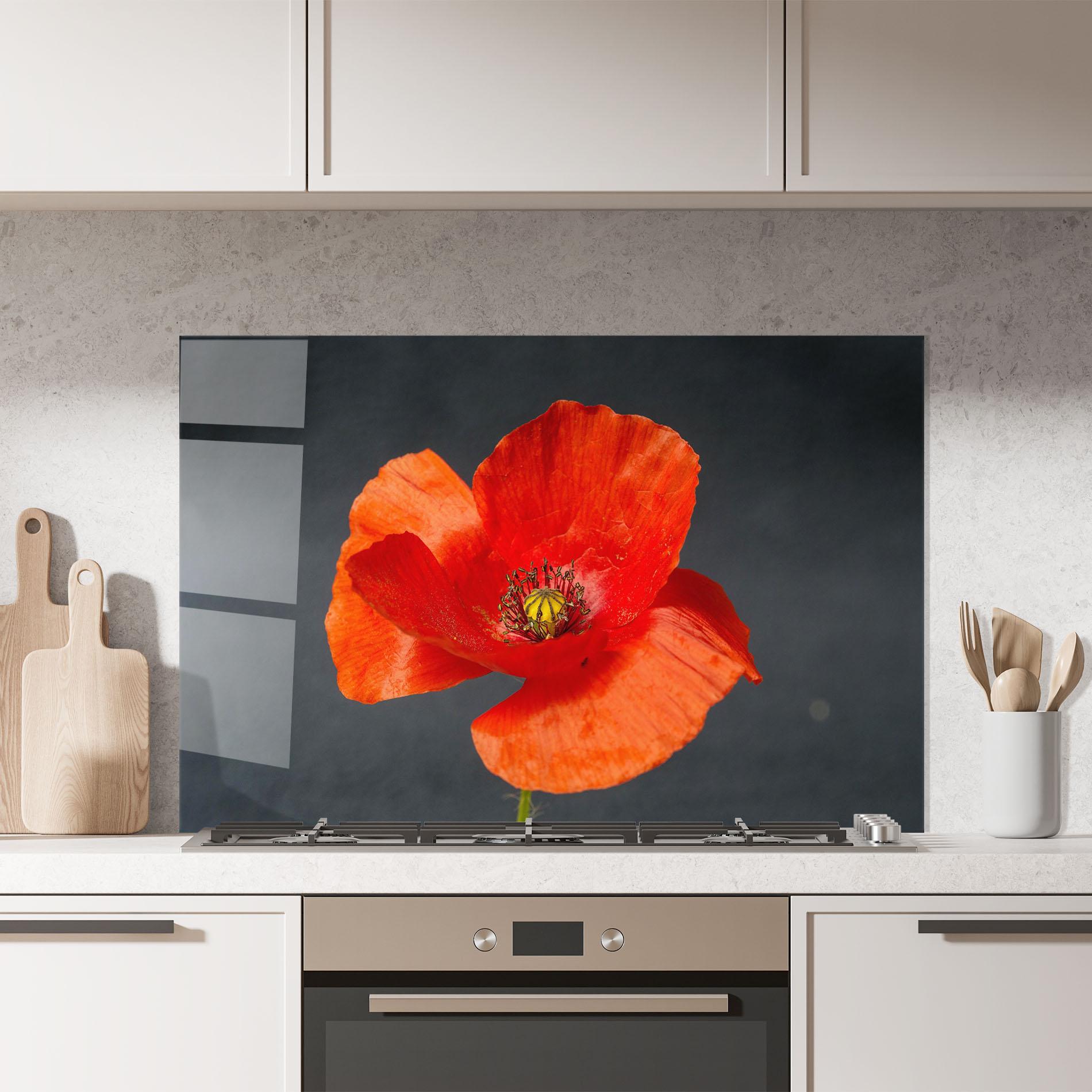 Konyhai üveg hátfal Light Red Poppy mockup 7